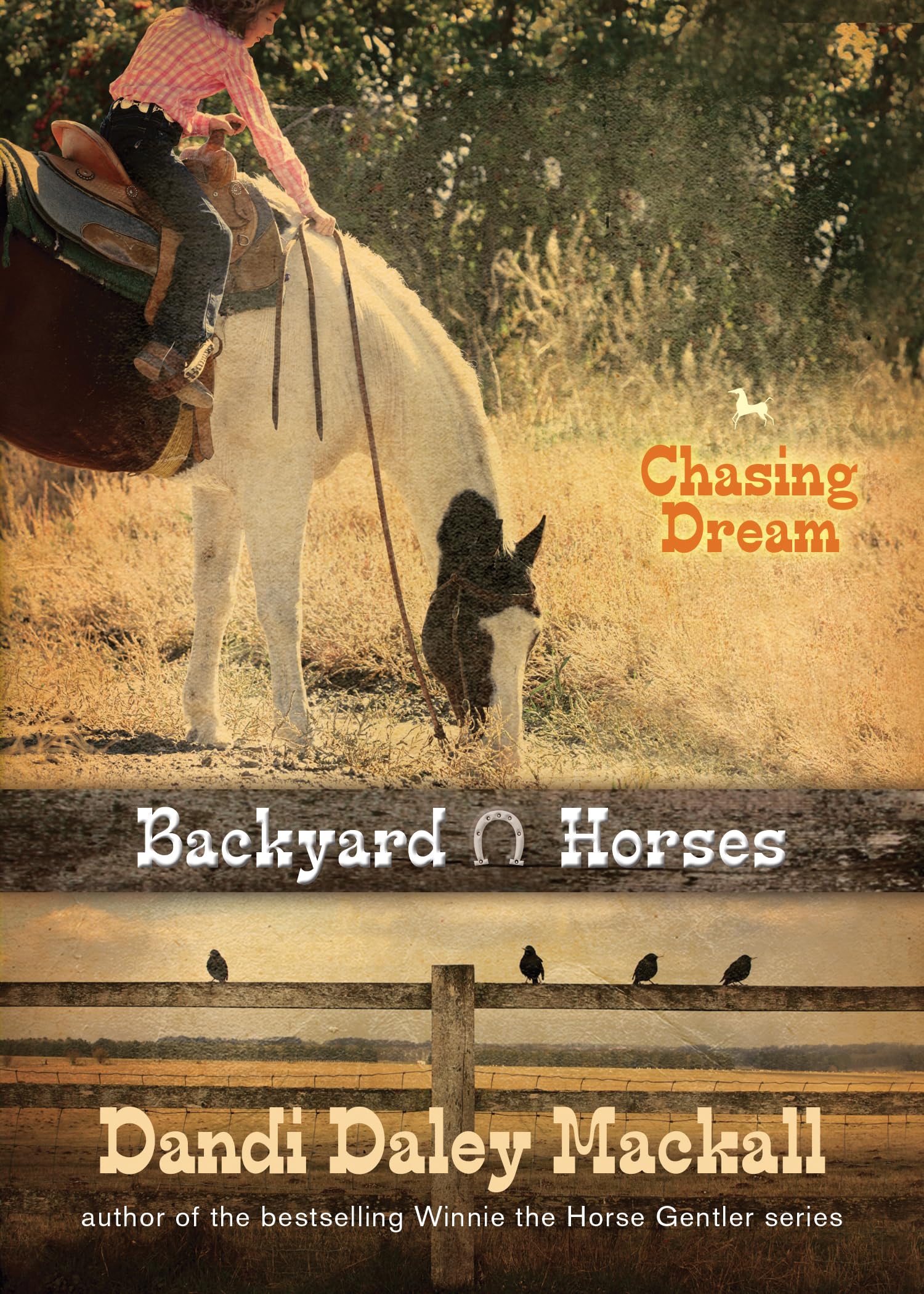 Chasing Dream (Backyard Horses),Used