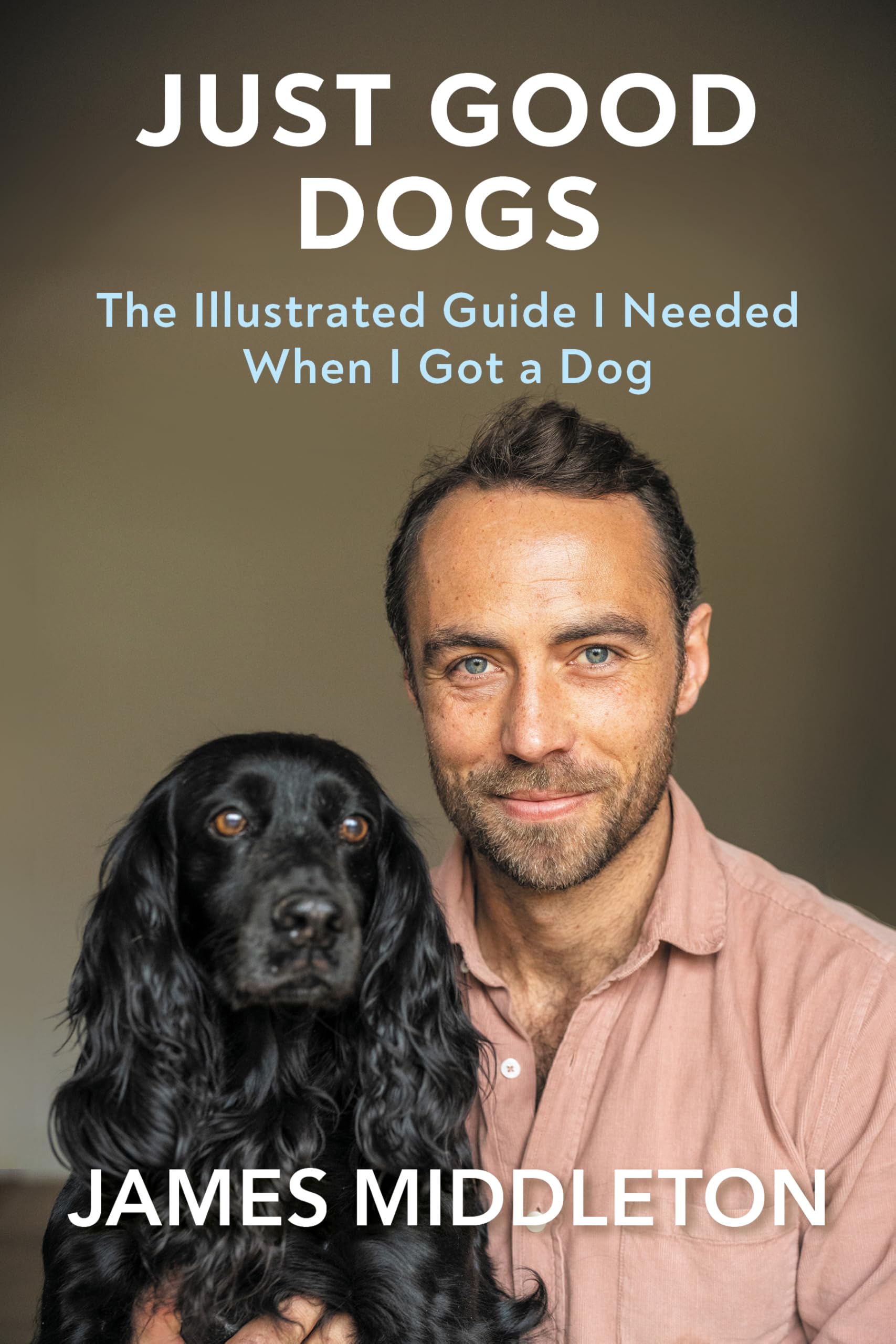 Just Good Dogs: The Illustrated Guide I Needed When I Got A Dog