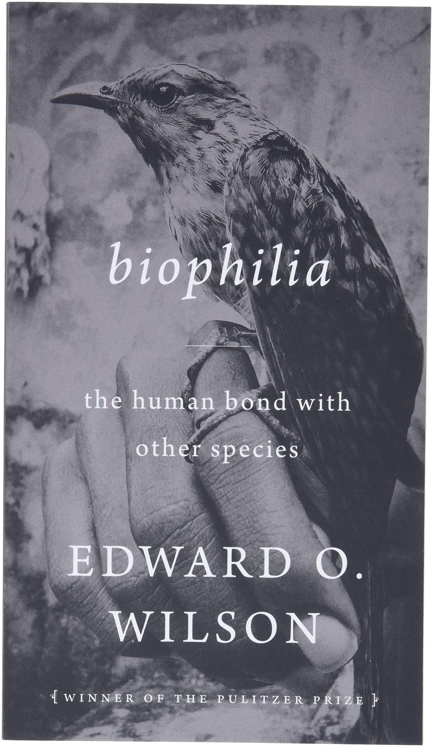 Biophilia,New