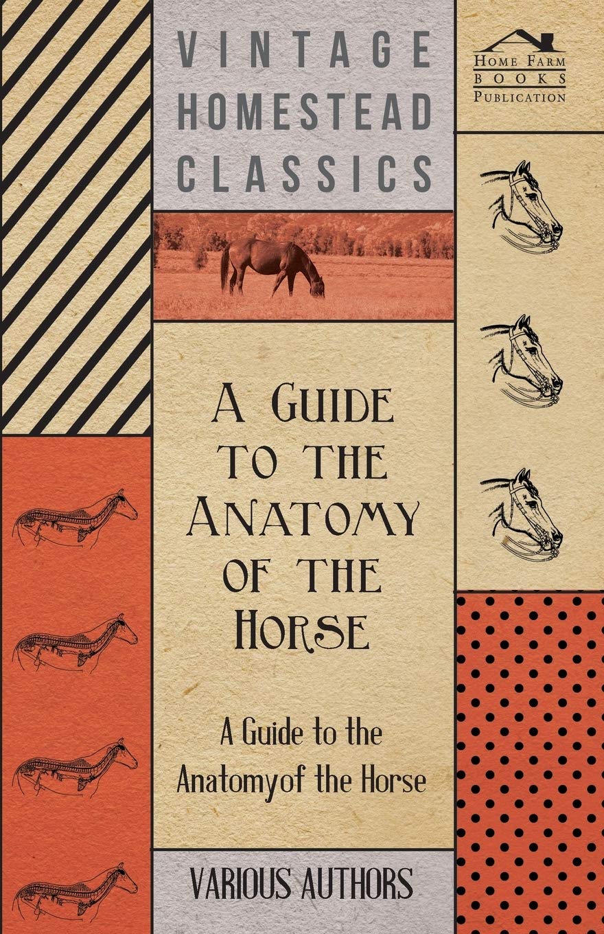 A Guide To The Anatomy Of The Horse  A Collection Of Historical Articles On The Skeleton, Hoof, Teeth, Locomotion And Other Asp,Used