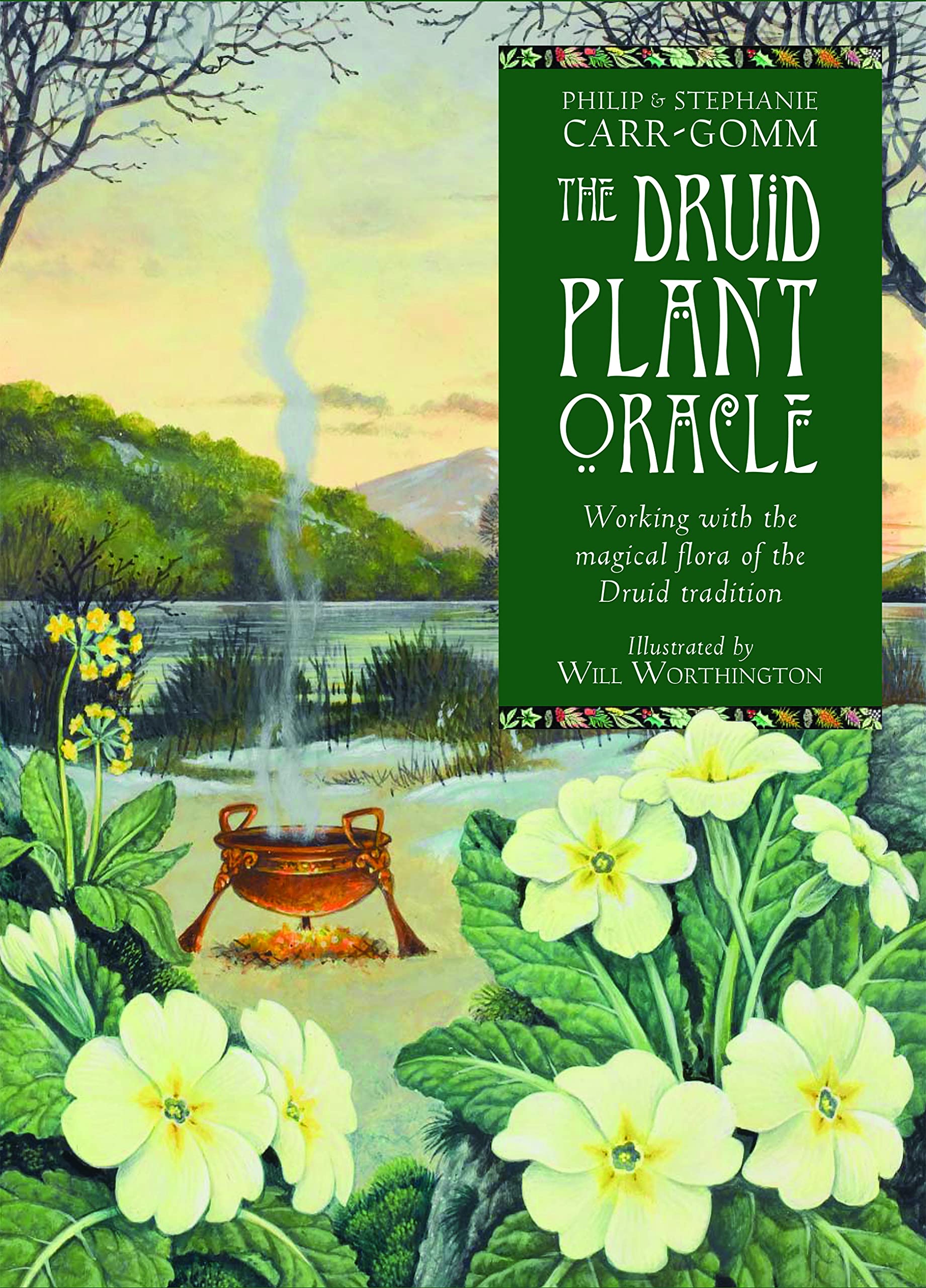 The Druid Plant Oracle: Working with the Magical Flora of the Druid Tradition (36 Cards and 144 Page Guidebook),Used