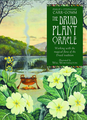 The Druid Plant Oracle: Working with the Magical Flora of the Druid Tradition (36 Cards and 144 Page Guidebook),Used