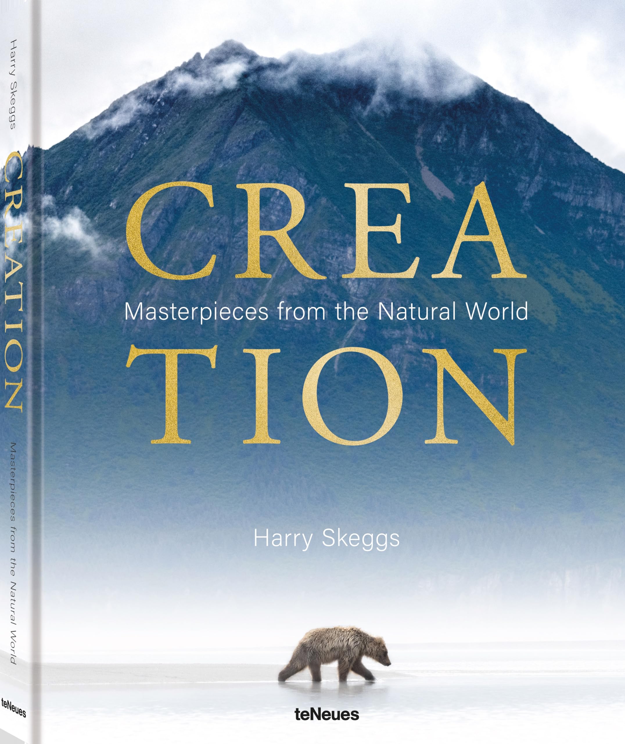 Creation: Masterpieces from the Natural World,New
