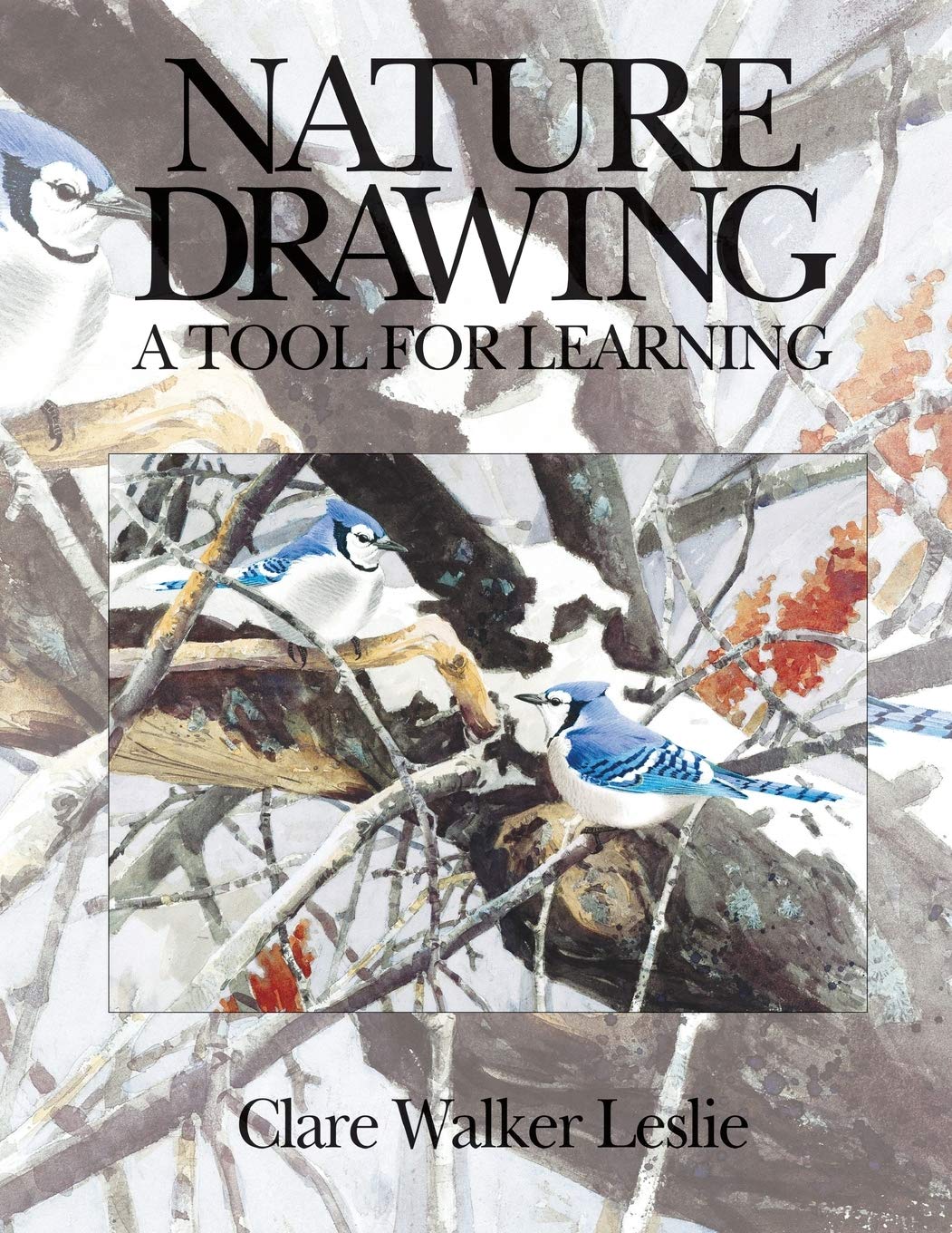 Nature Drawing: A Tool For Learning