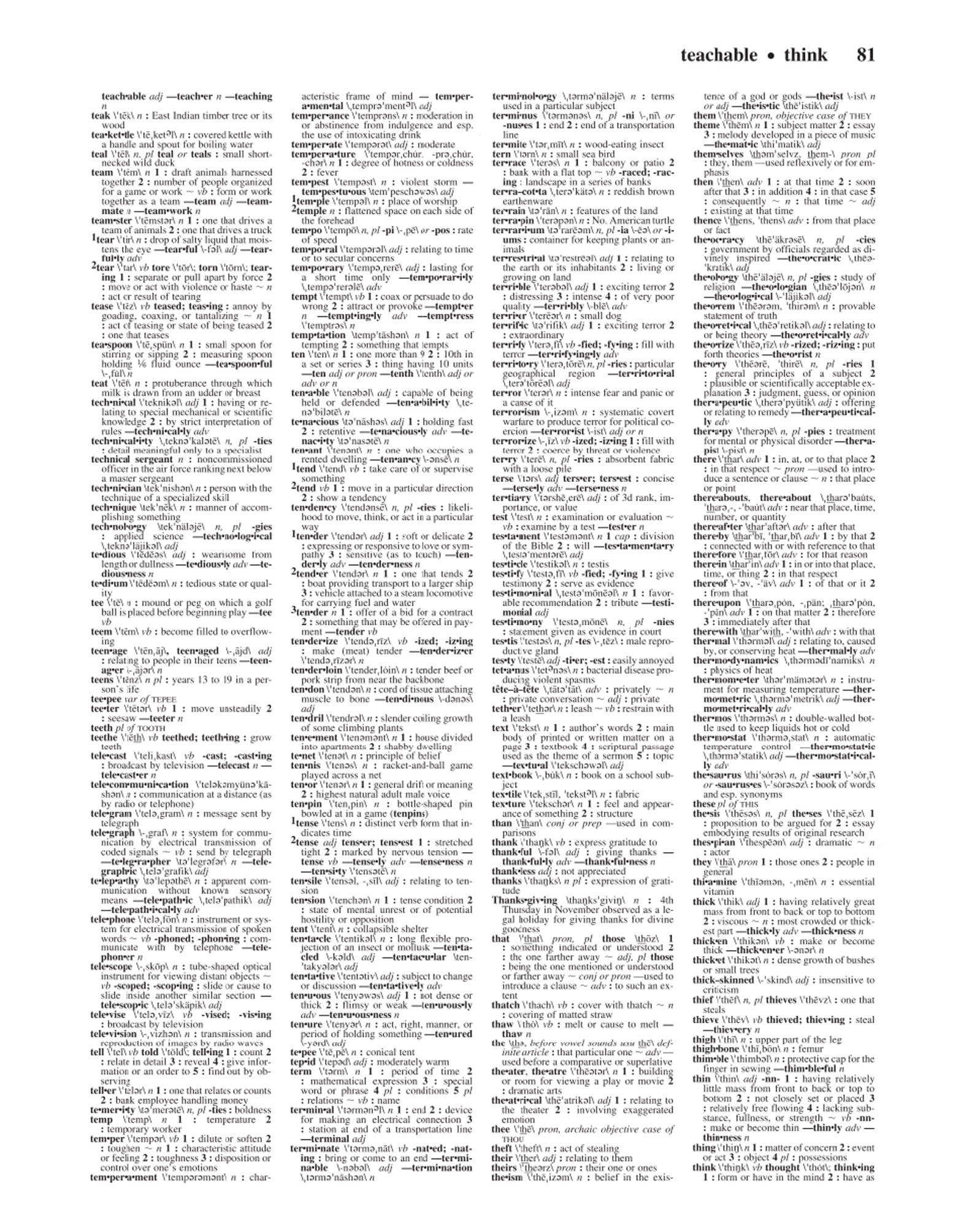 MerriamWebsters Notebook Dictionary,Used