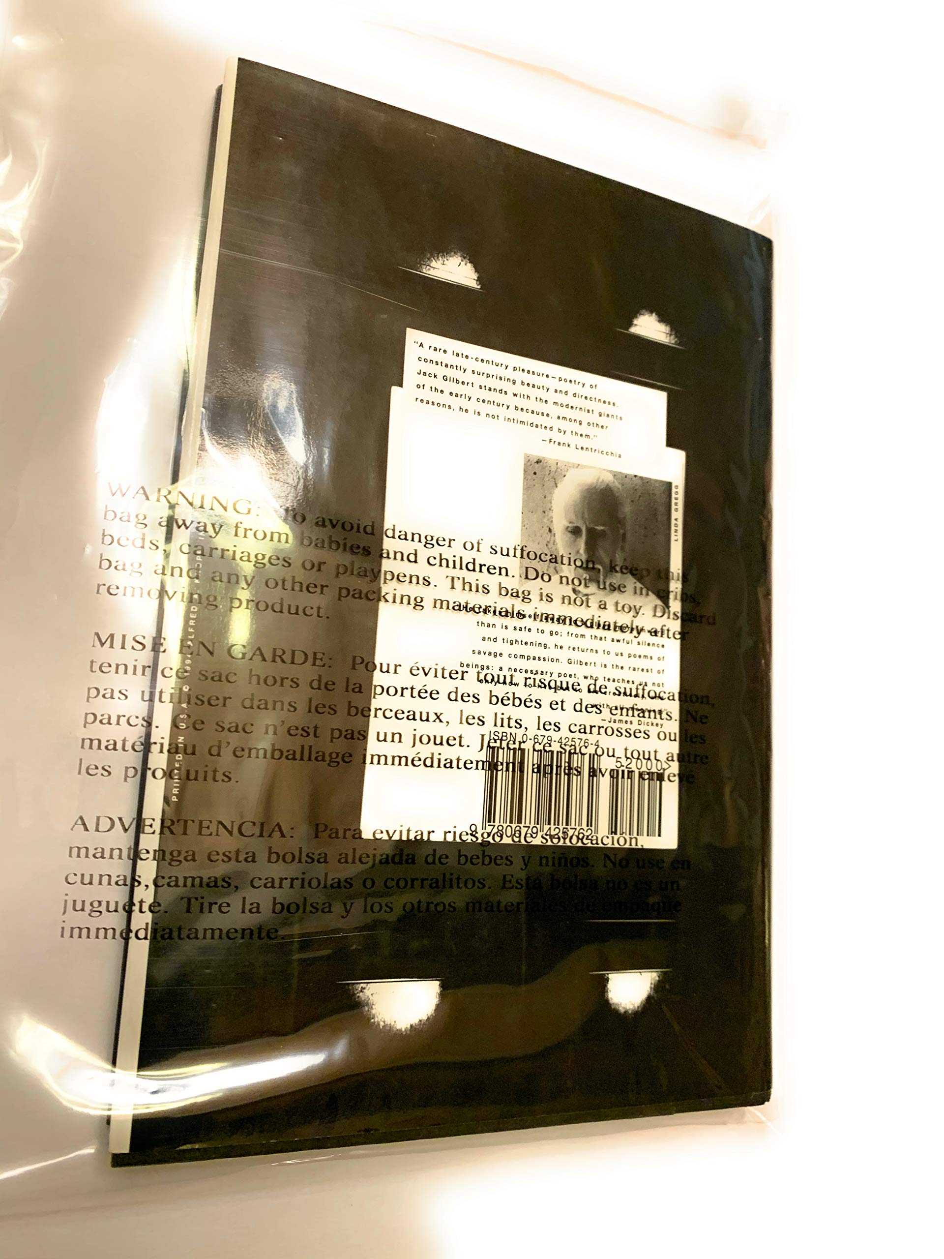 The Great Fires: Poems, 19821992,Used