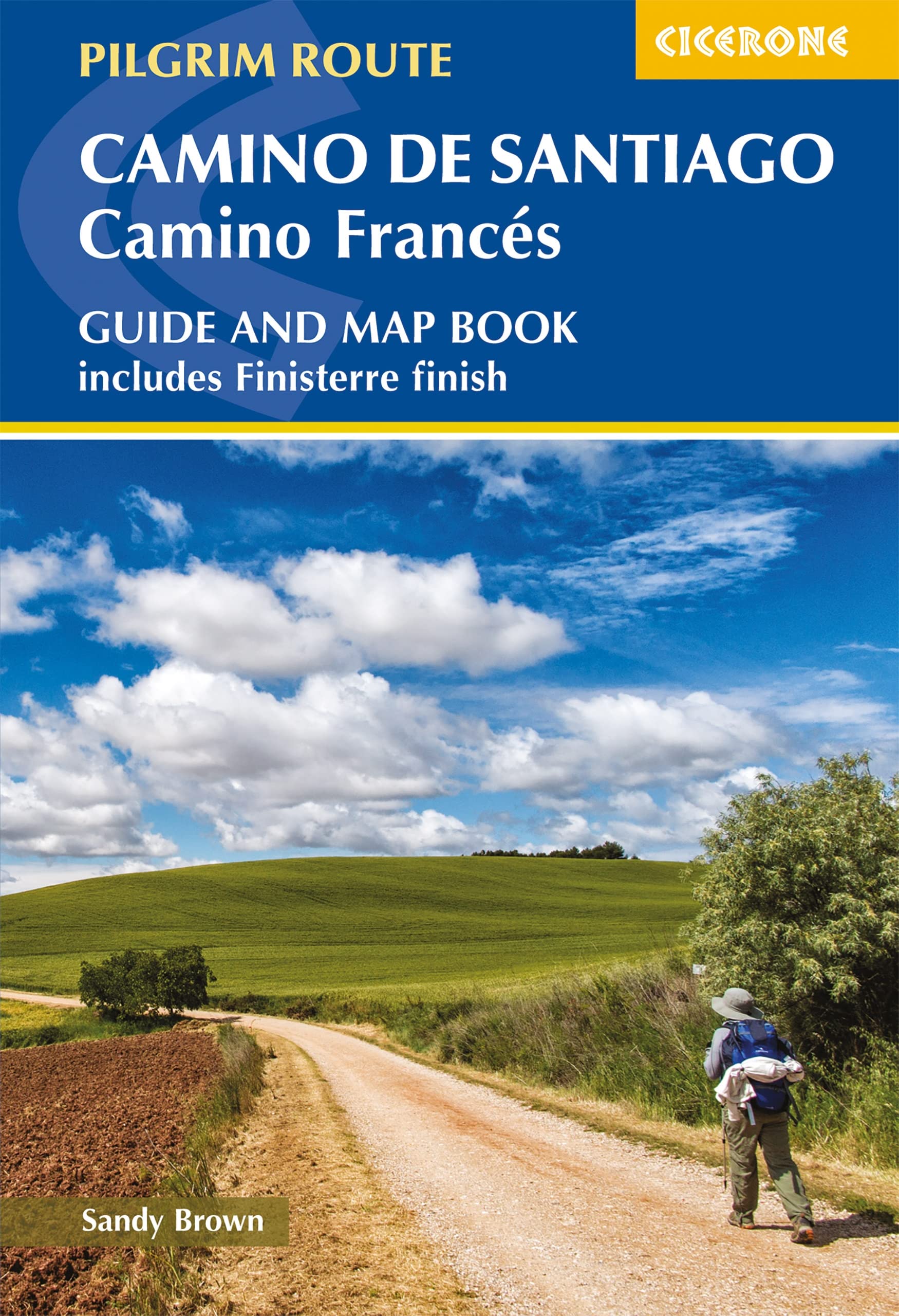 Camino de Santiago  Camino Francs: Guide With Map Book (Cicerone Guides),Used