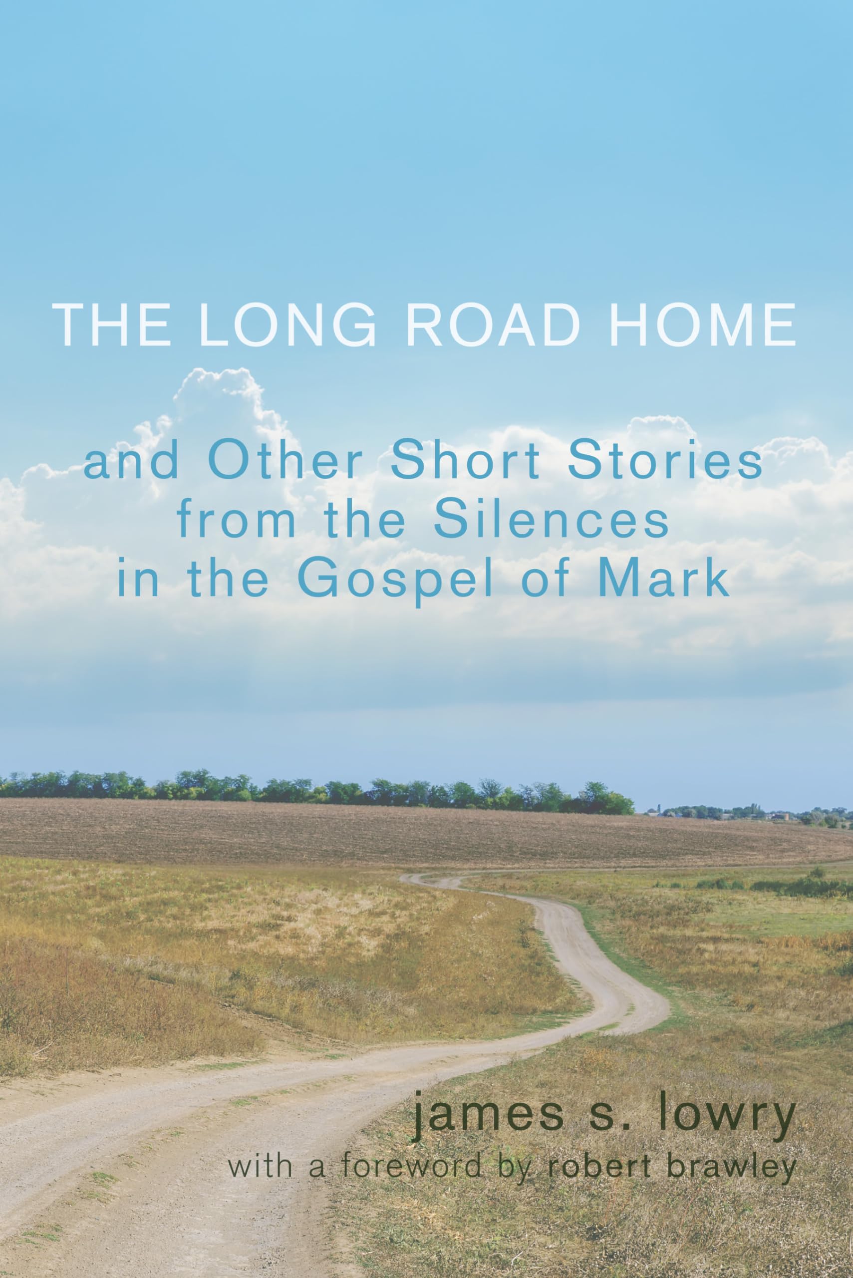 The Long Road Home and Other Short Stories from the Silences in the Gospel of Mark,Used