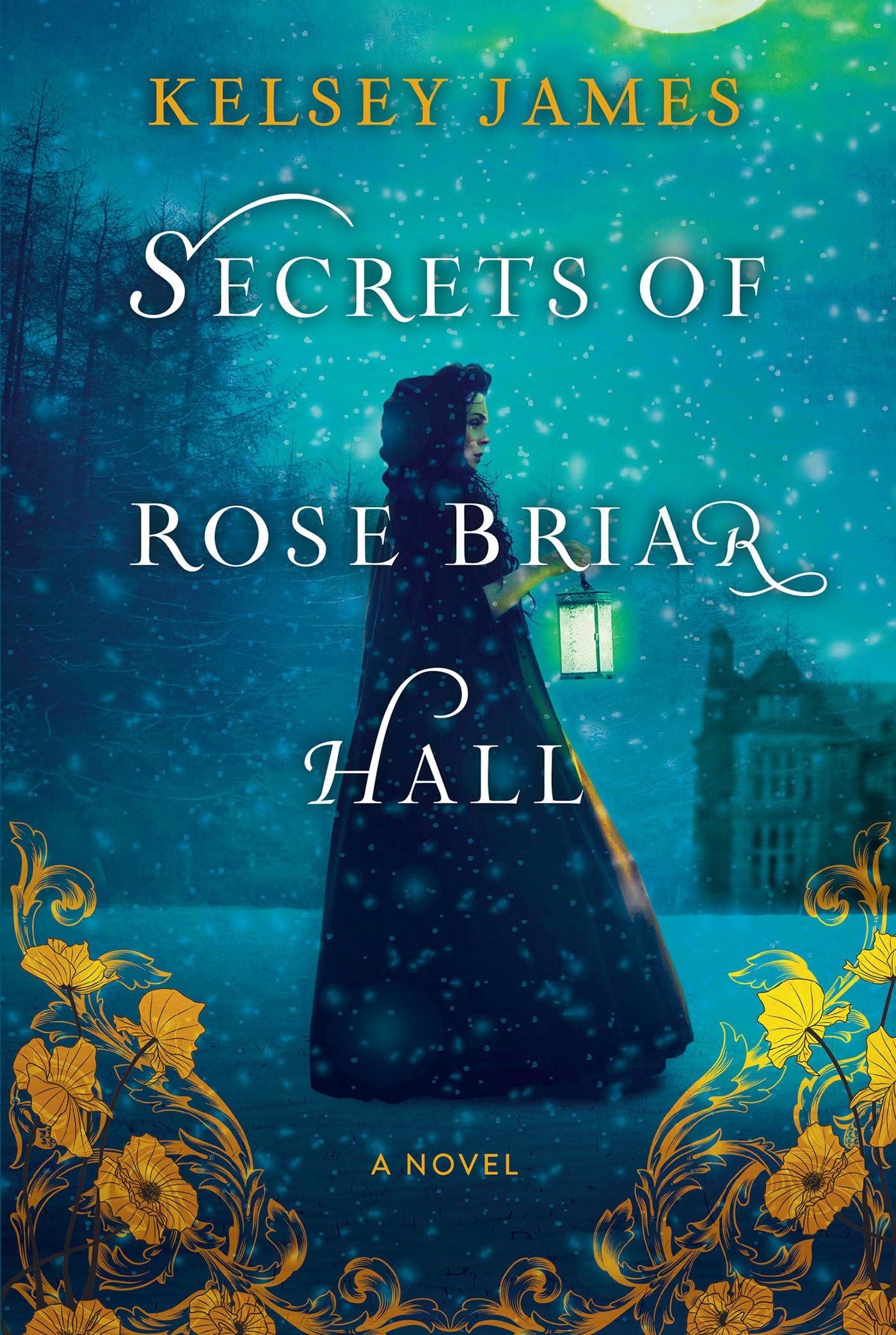 Secrets Of Rose Briar Hall,Used