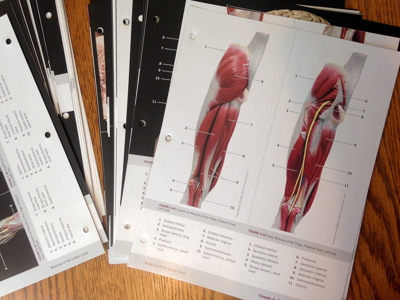Photographic Atlas for Anatomy & Physiology, A,Used
