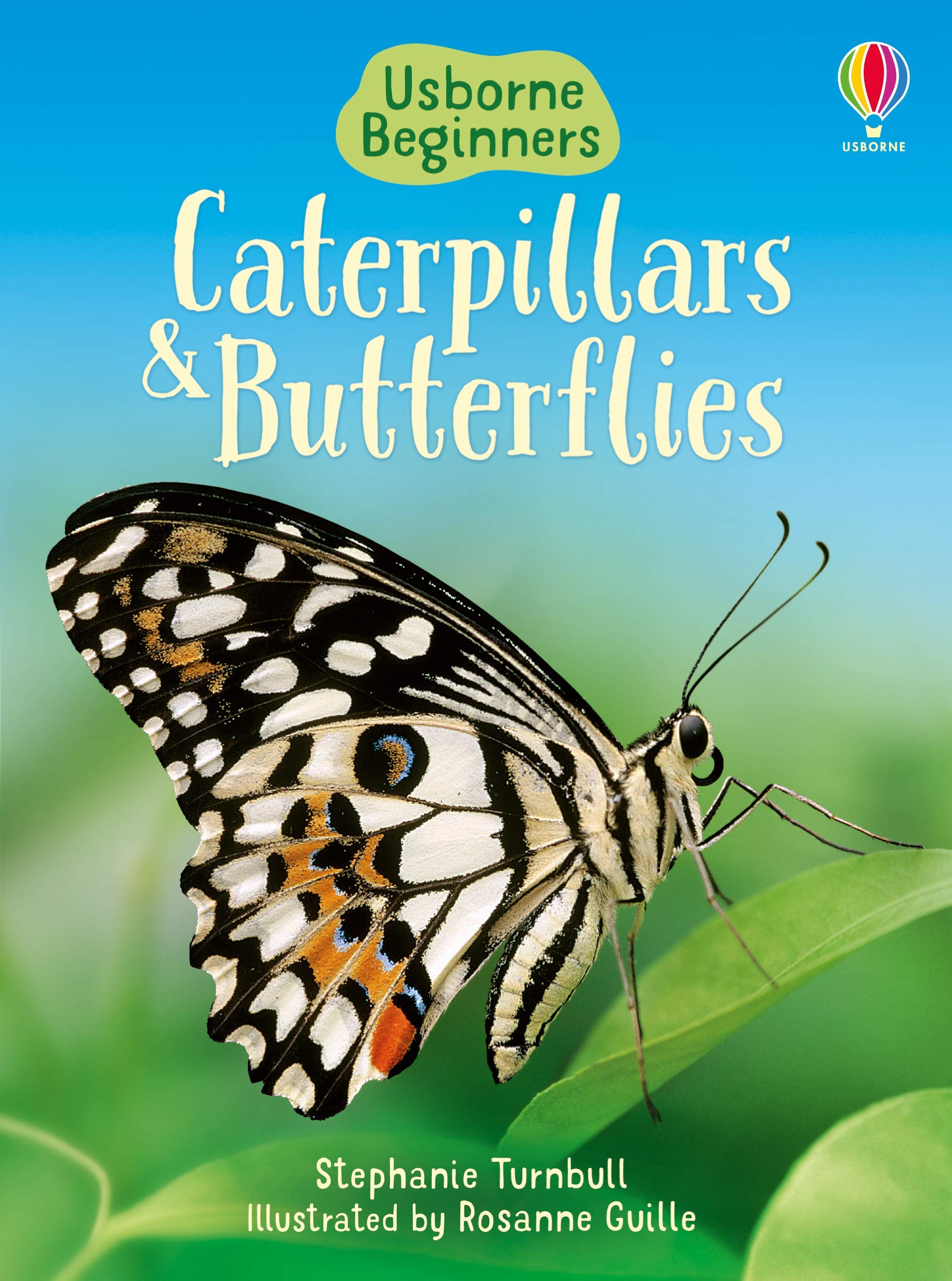 Caterpillars And Butterflies  Usborne Beginners,Used