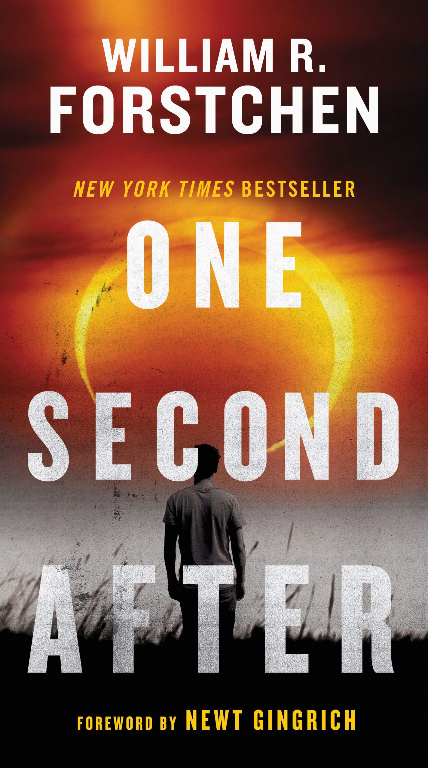 One Second After (A John Matherson Novel, 1),New