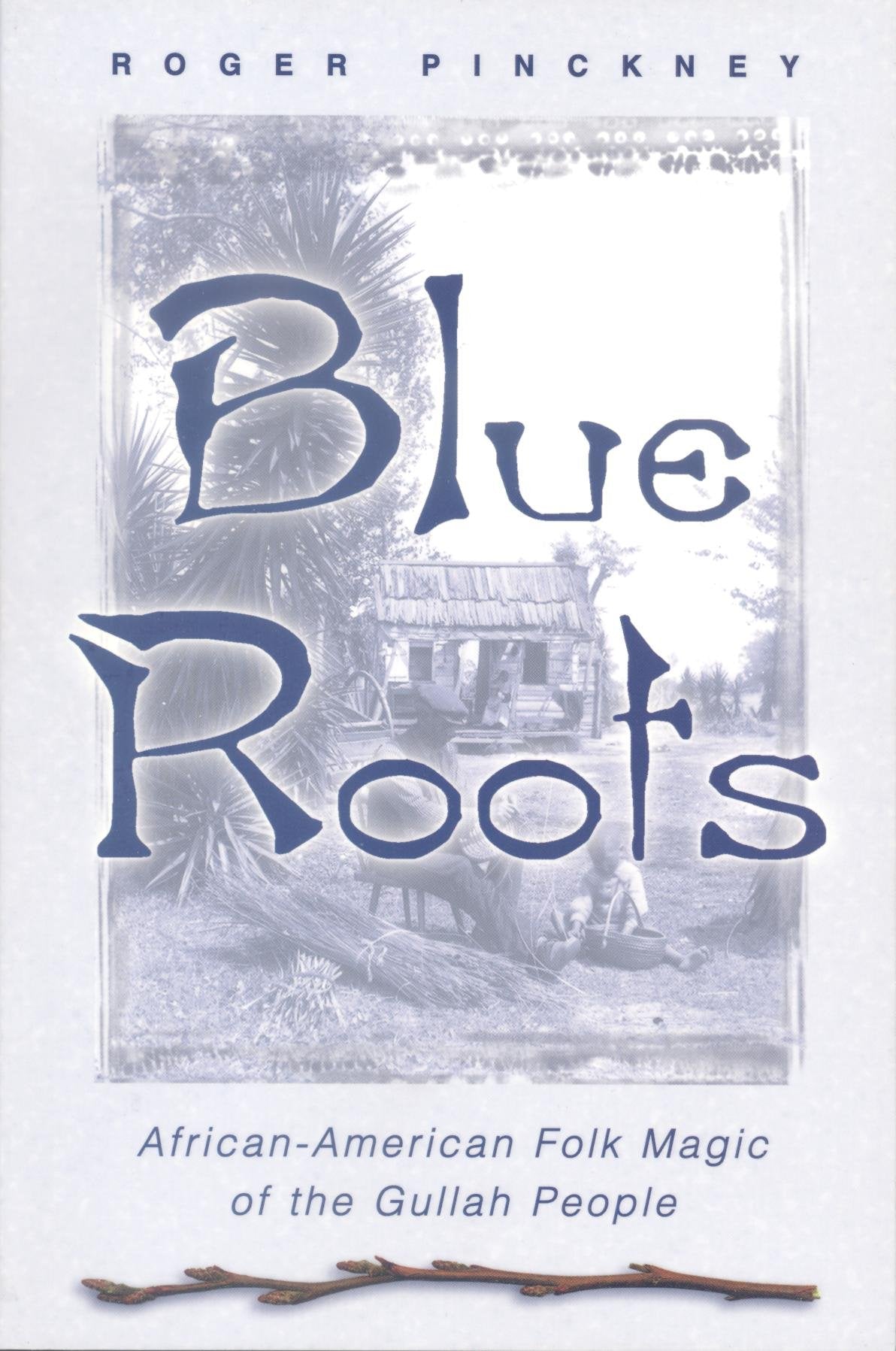Blue Roots: AfricanAmerican Folk Magic of the Gullah People,New