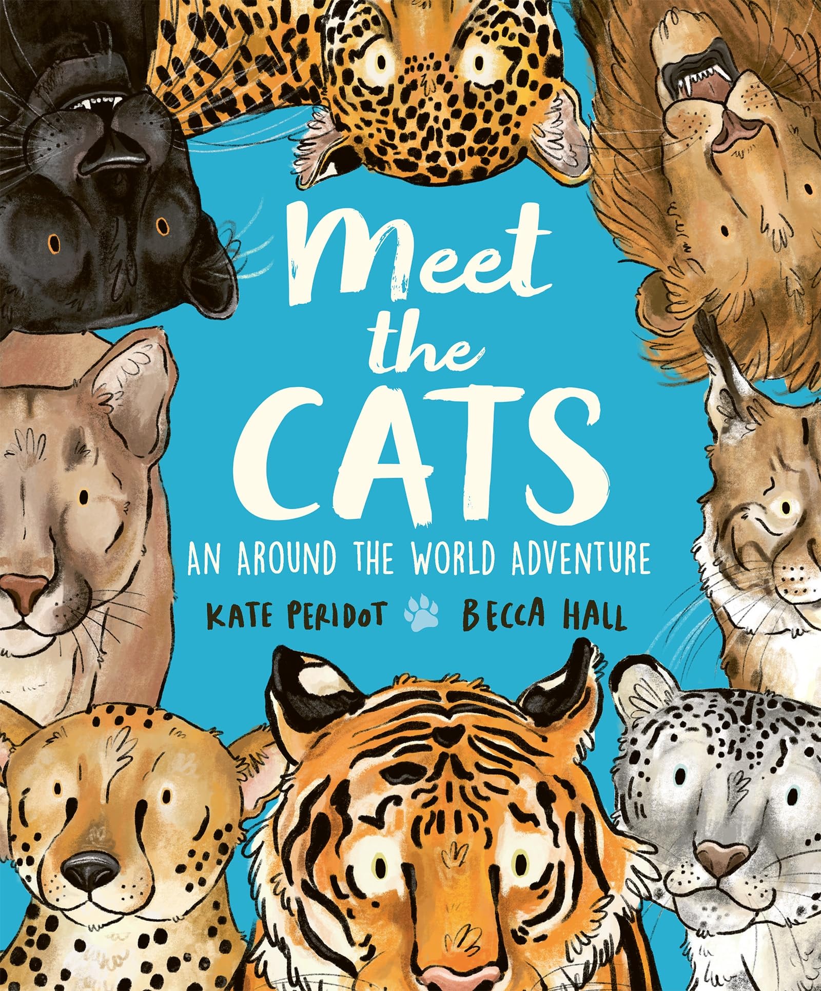 Meet the Cats,New