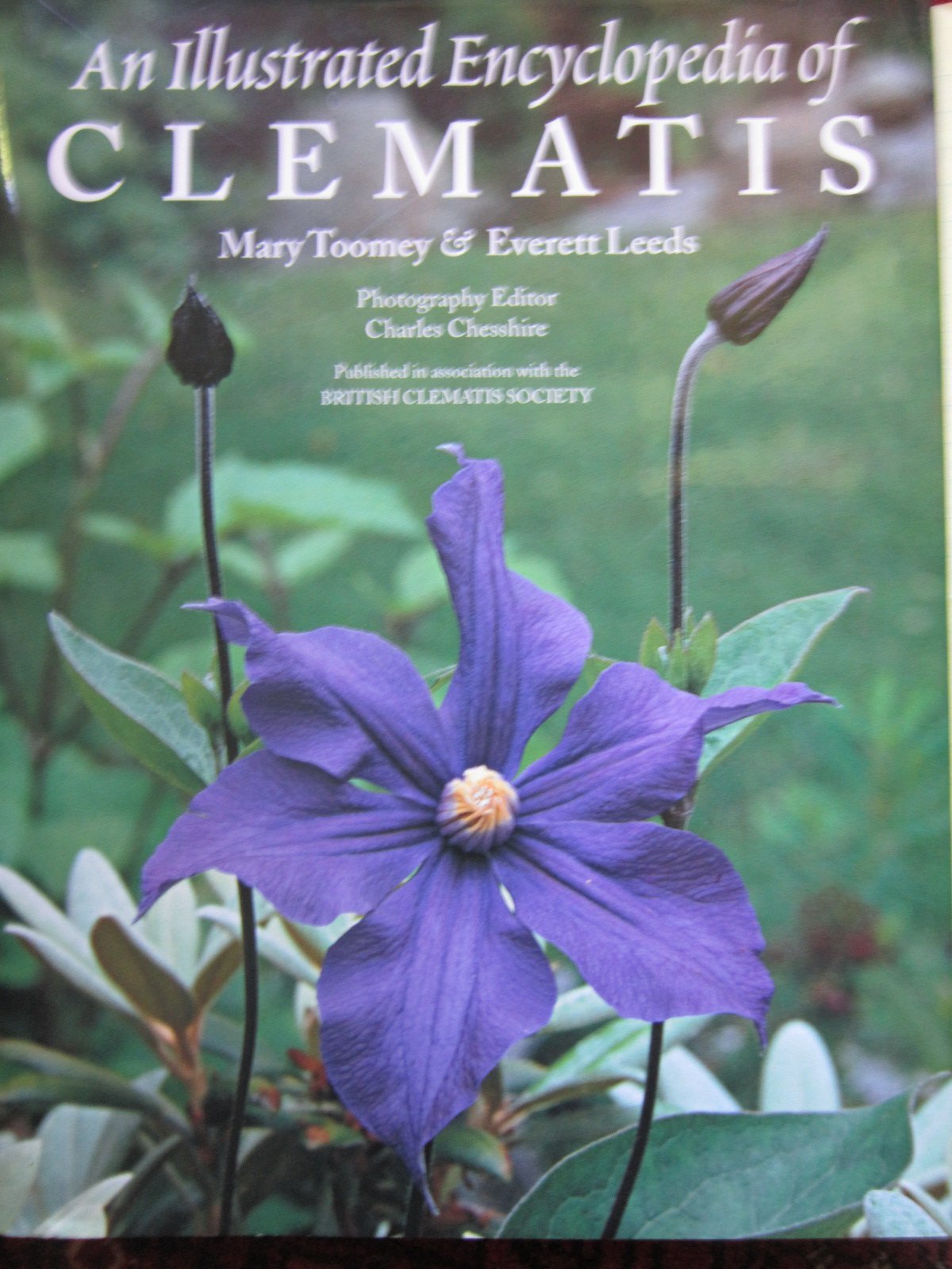 An Illustrated Encyclopedia Of Clematis