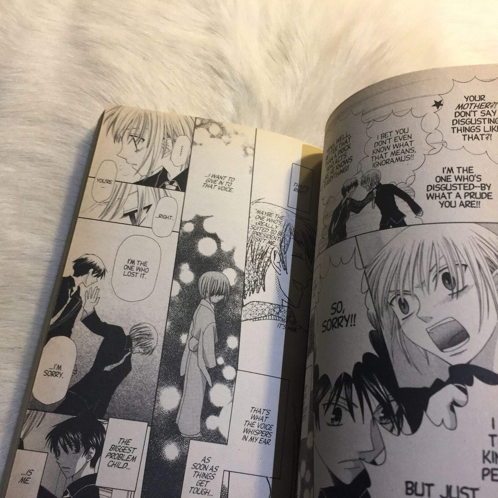 Fruits Basket, Vol. 13,New