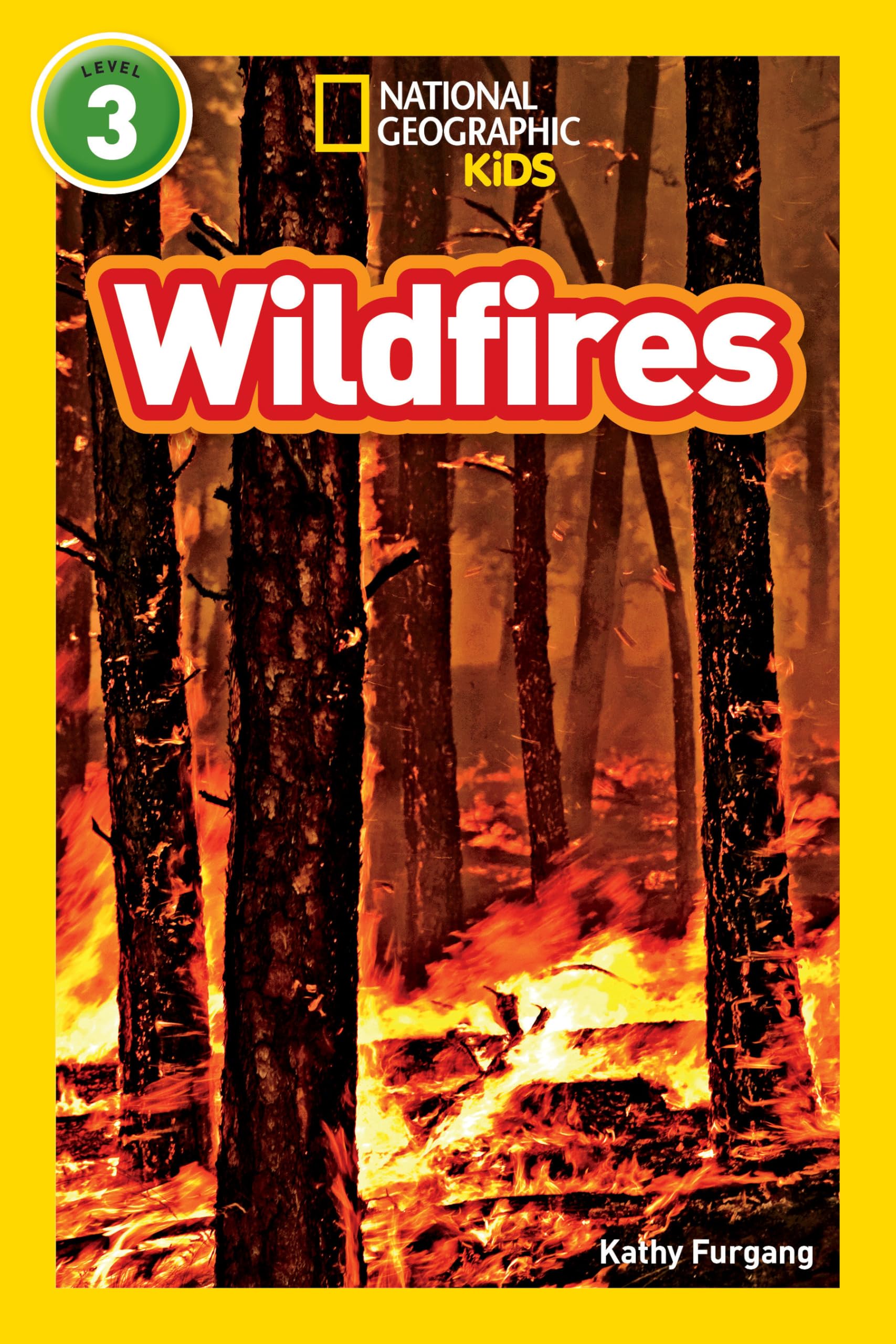 Wildfires (National Geographic Kids Readers, Level 3),Used