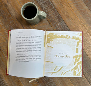 Ive Forgotten Everything I Learned In School!-used