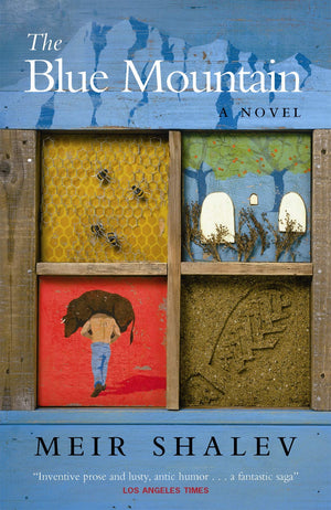 The Blue Mountain: A Novel,New