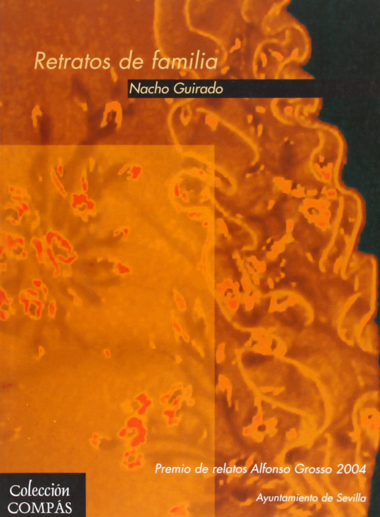 Retratos de Familia (Spanish Edition),Used