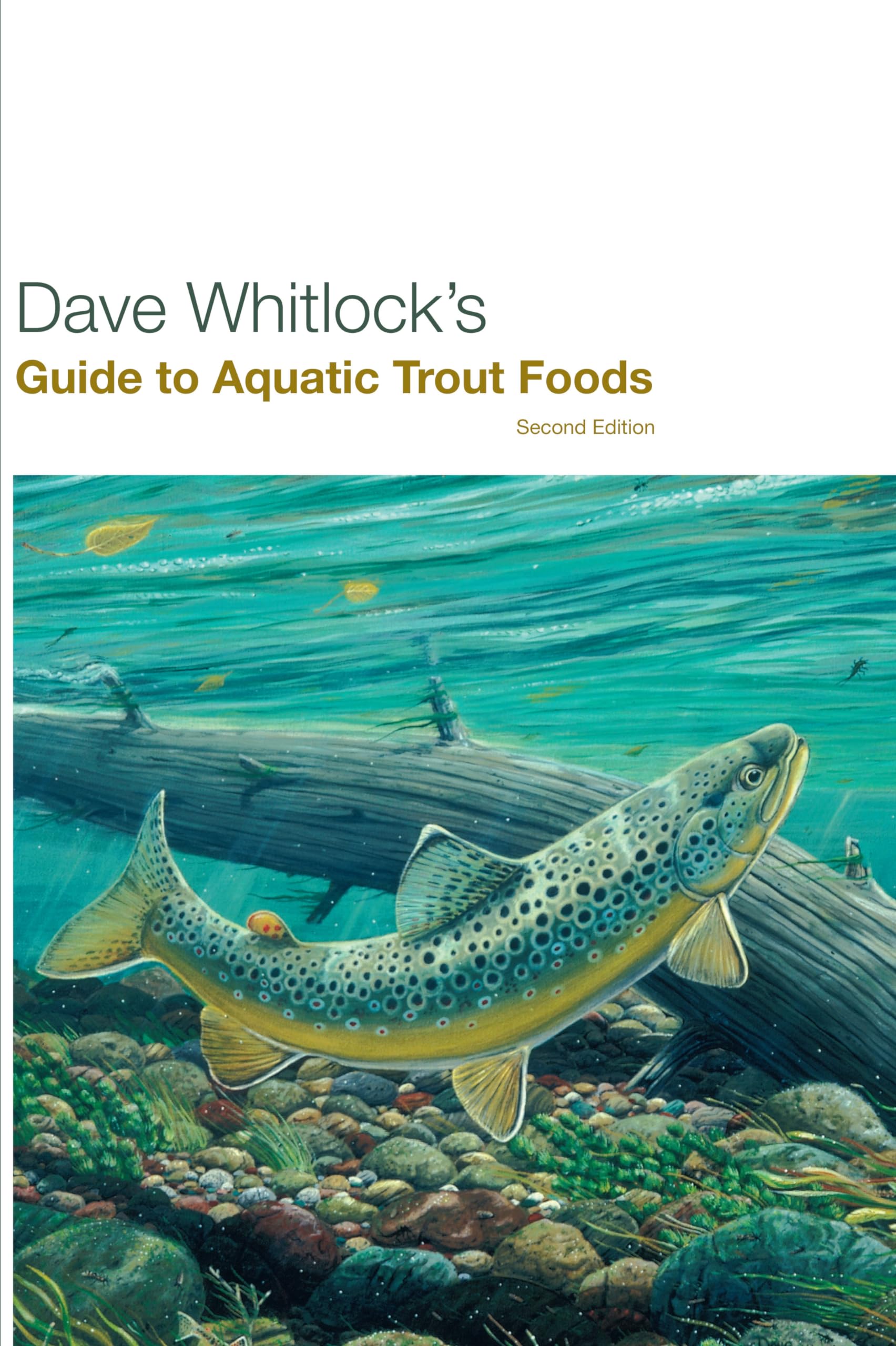 Dave Whitlock's Guide to Aquatic Trout Foods,Used