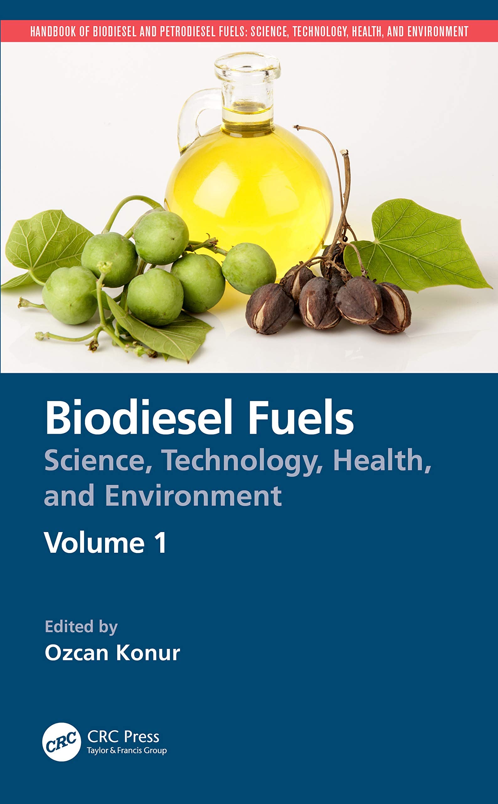 Biodiesel Fuels: Science, Technology, Health, and Environment (Handbook of Biodiesel and Petrodiesel Fuels),Used
