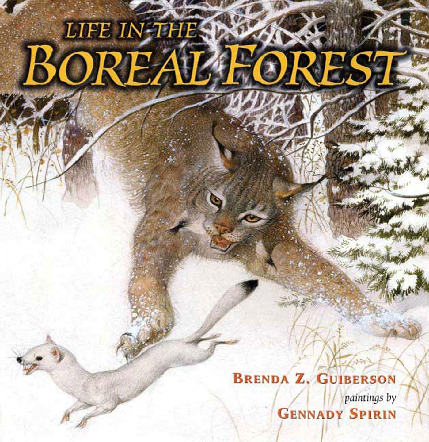 Life In The Boreal Forest