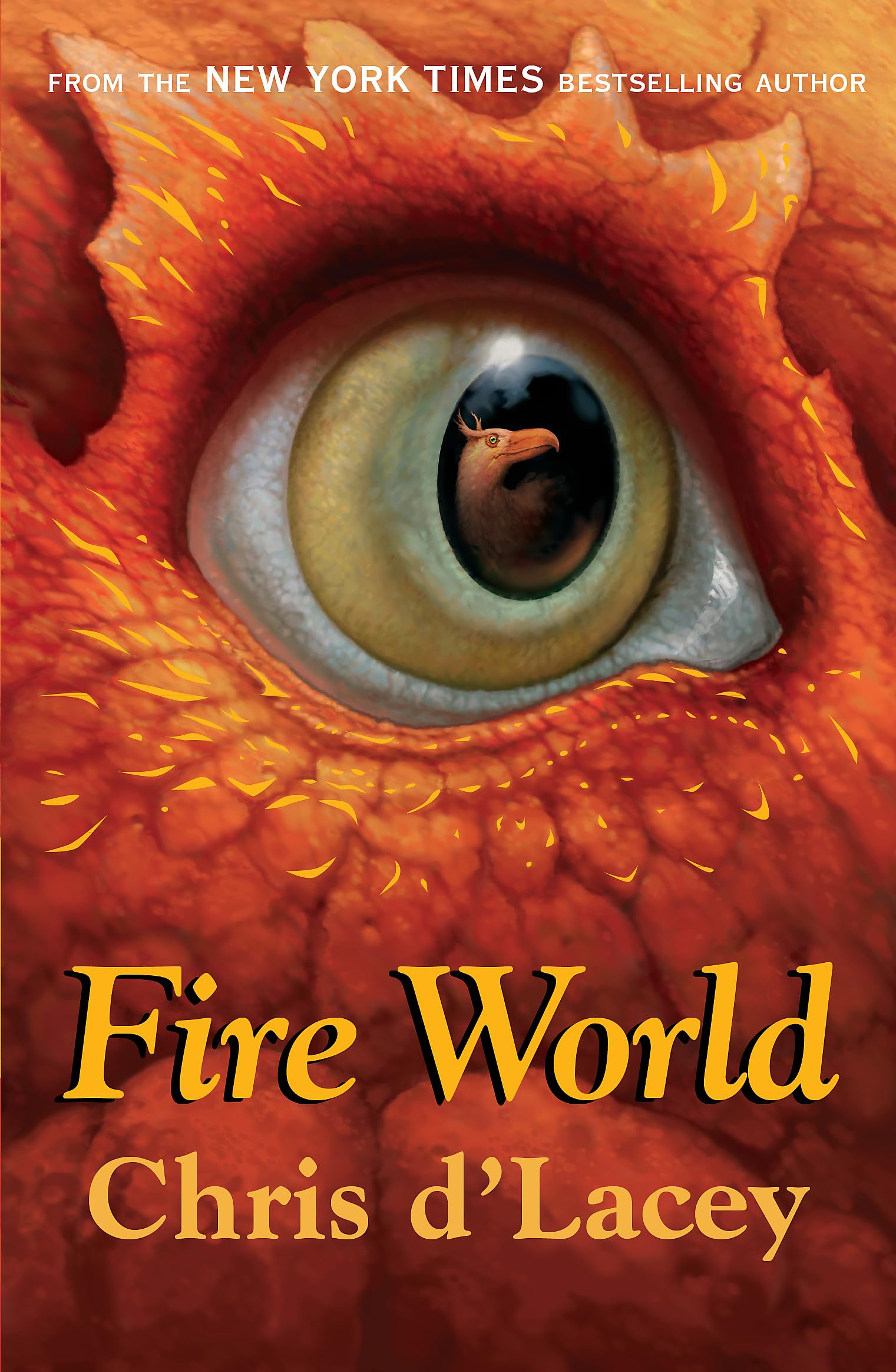 Fire World (Last Dragon Chronicles (Paperback)),Used