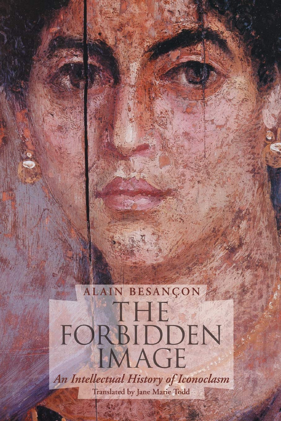 The Forbidden Image: An Intellectual History of Iconoclasm,Used