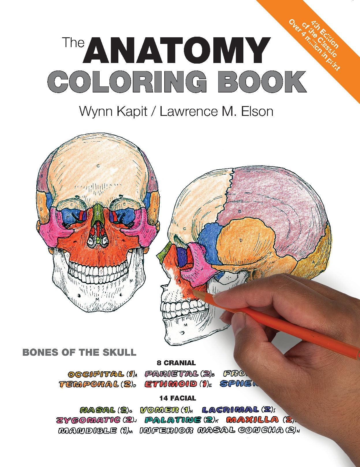Anatomy Coloring Book, The,Used