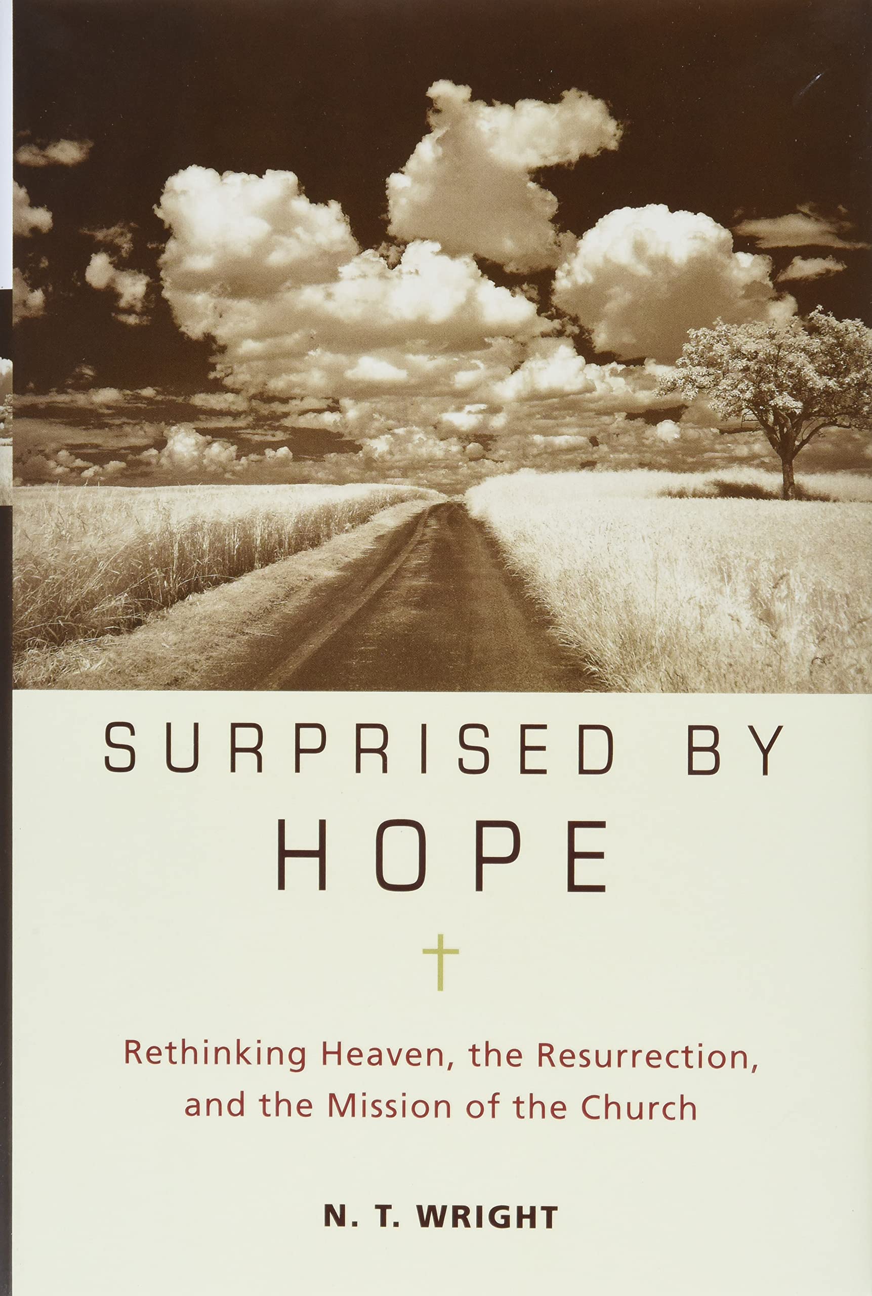 Surprised by Hope: Rethinking Heaven, the Resurrection, and the Mission of the Church,Used