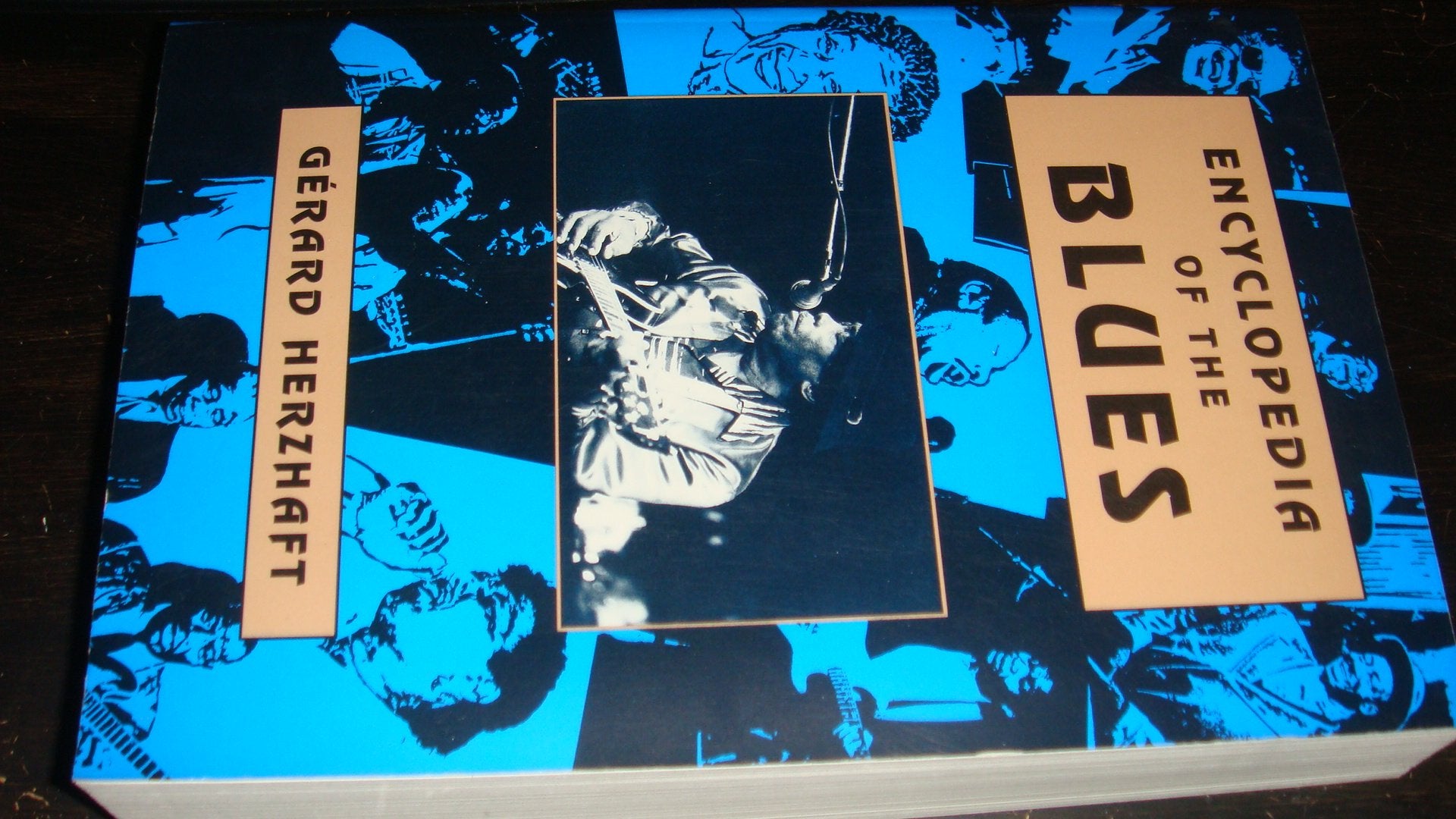 Encyclopedia of the Blues,New