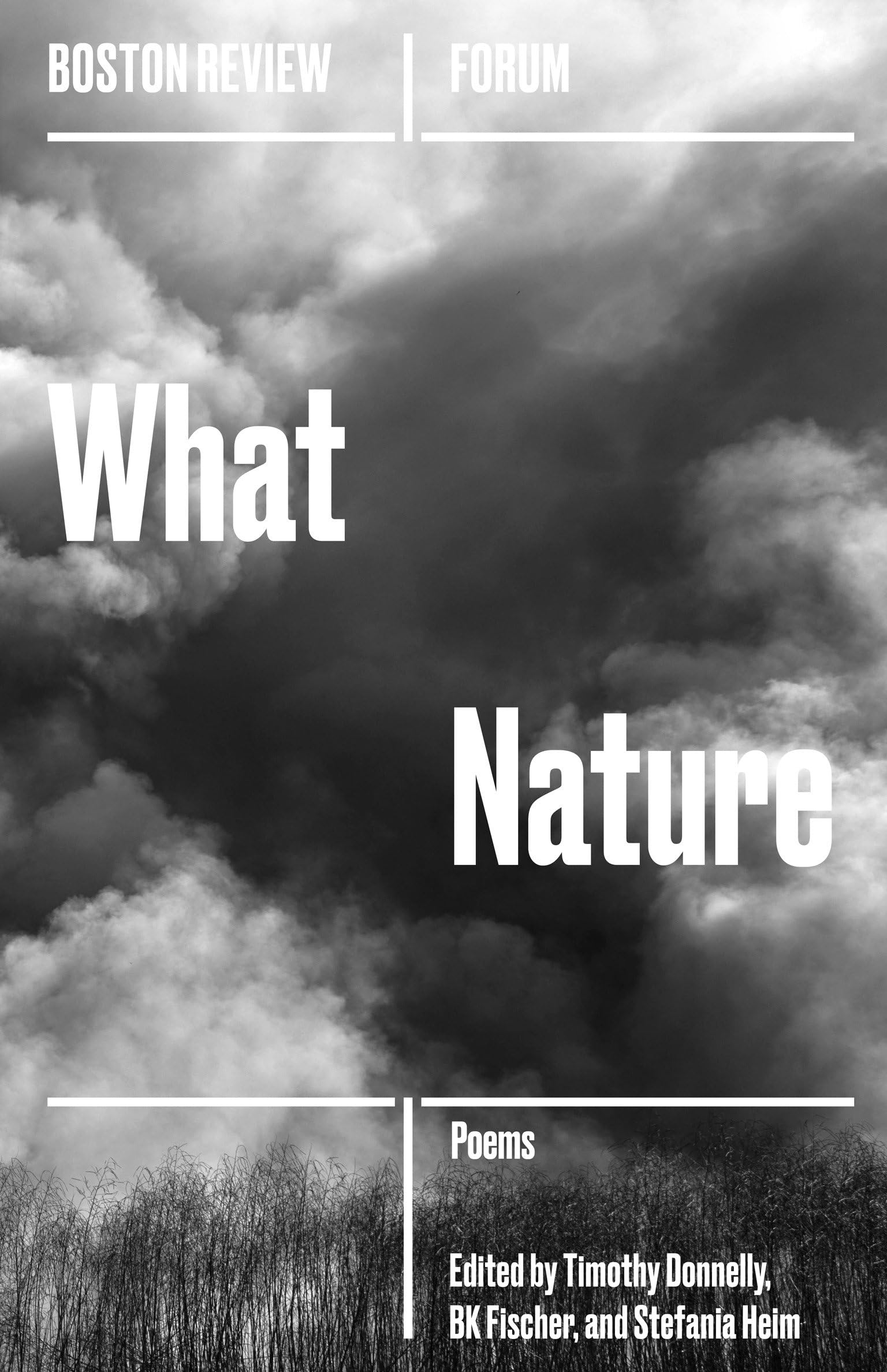 What Nature (Boston Review / Forum),Used