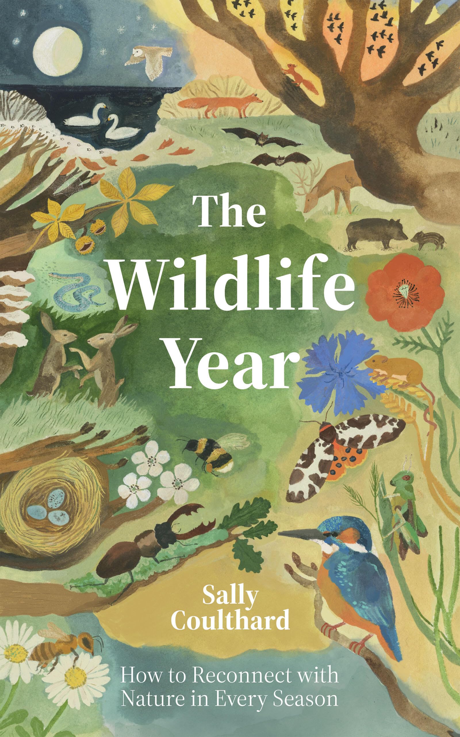 Wildlife Year: How to Reconnect with Nature Through the Seasons,New