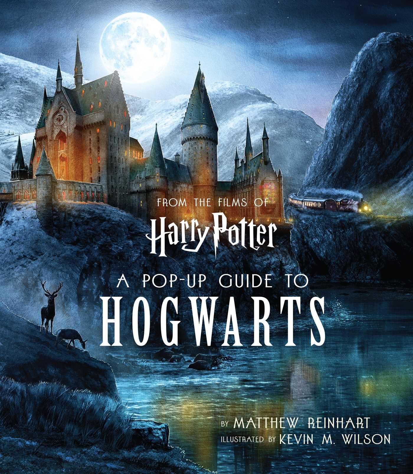 Harry Potter: A PopUp Guide to Hogwarts,Used