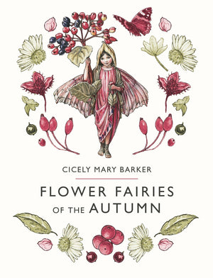 Flower Fairies of the Autumn,Used
