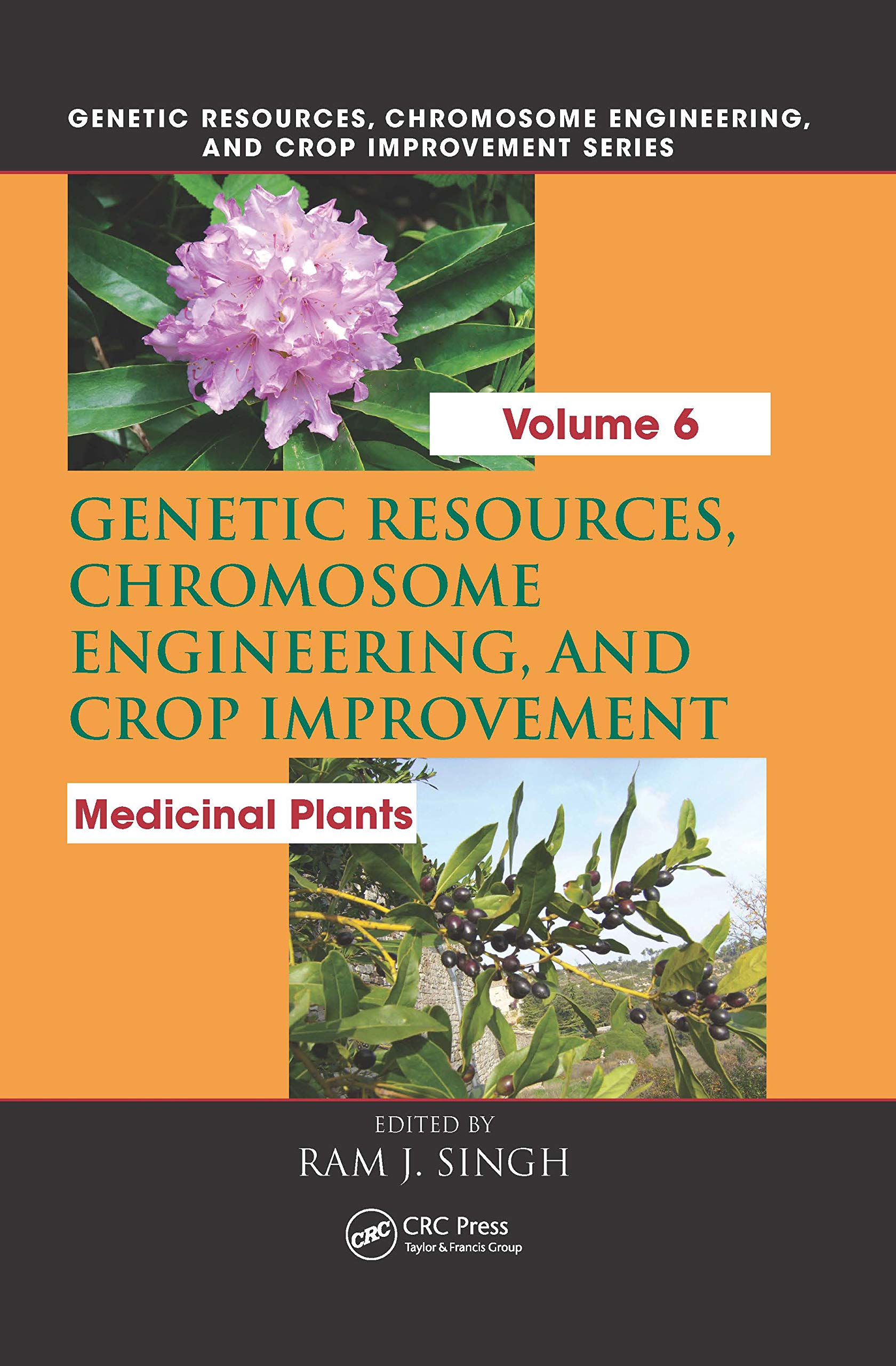 Genetic Resources, Chromosome Engineering, and Crop Improvement: Medicinal Plants, Volume 6,Used