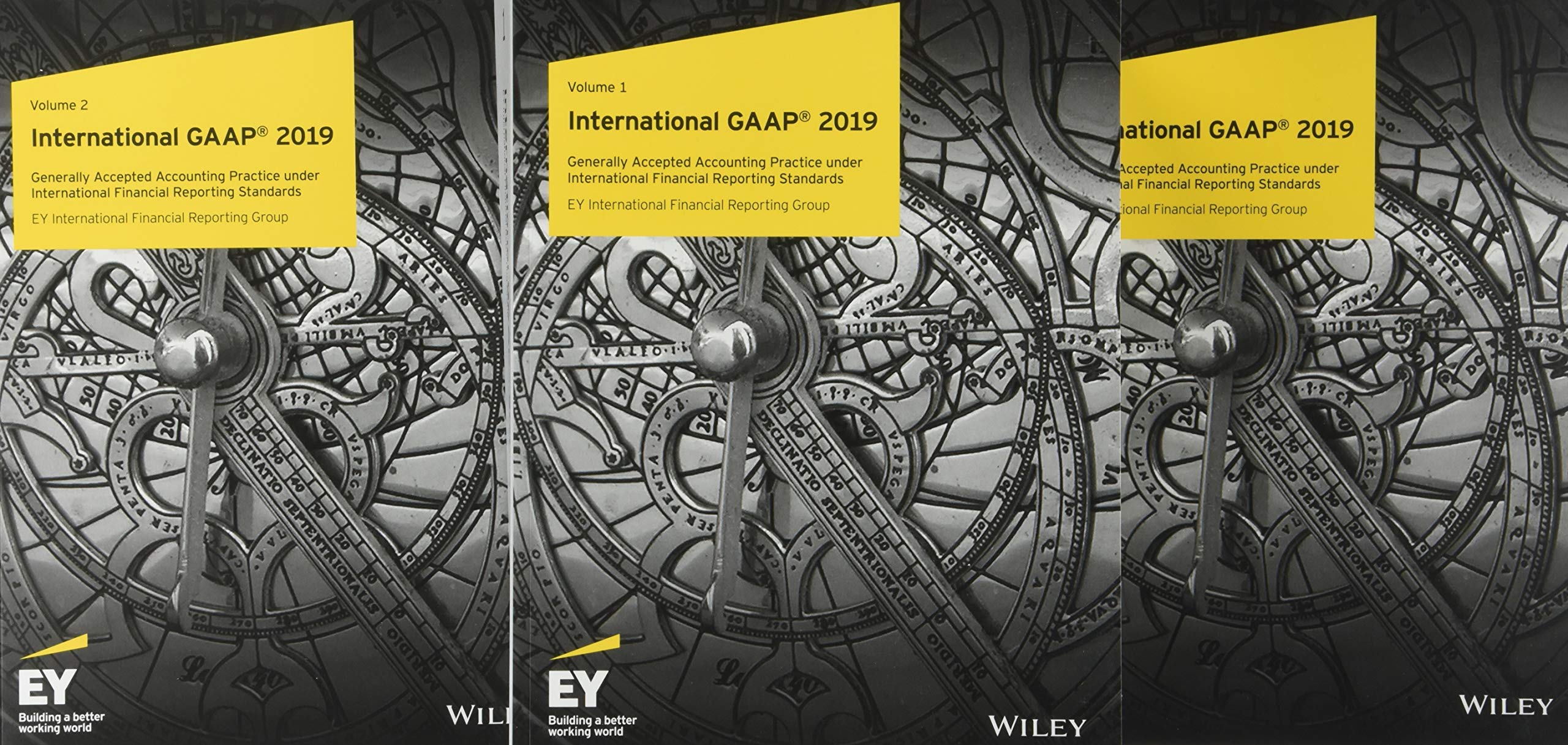 International GAAP 2019,Used