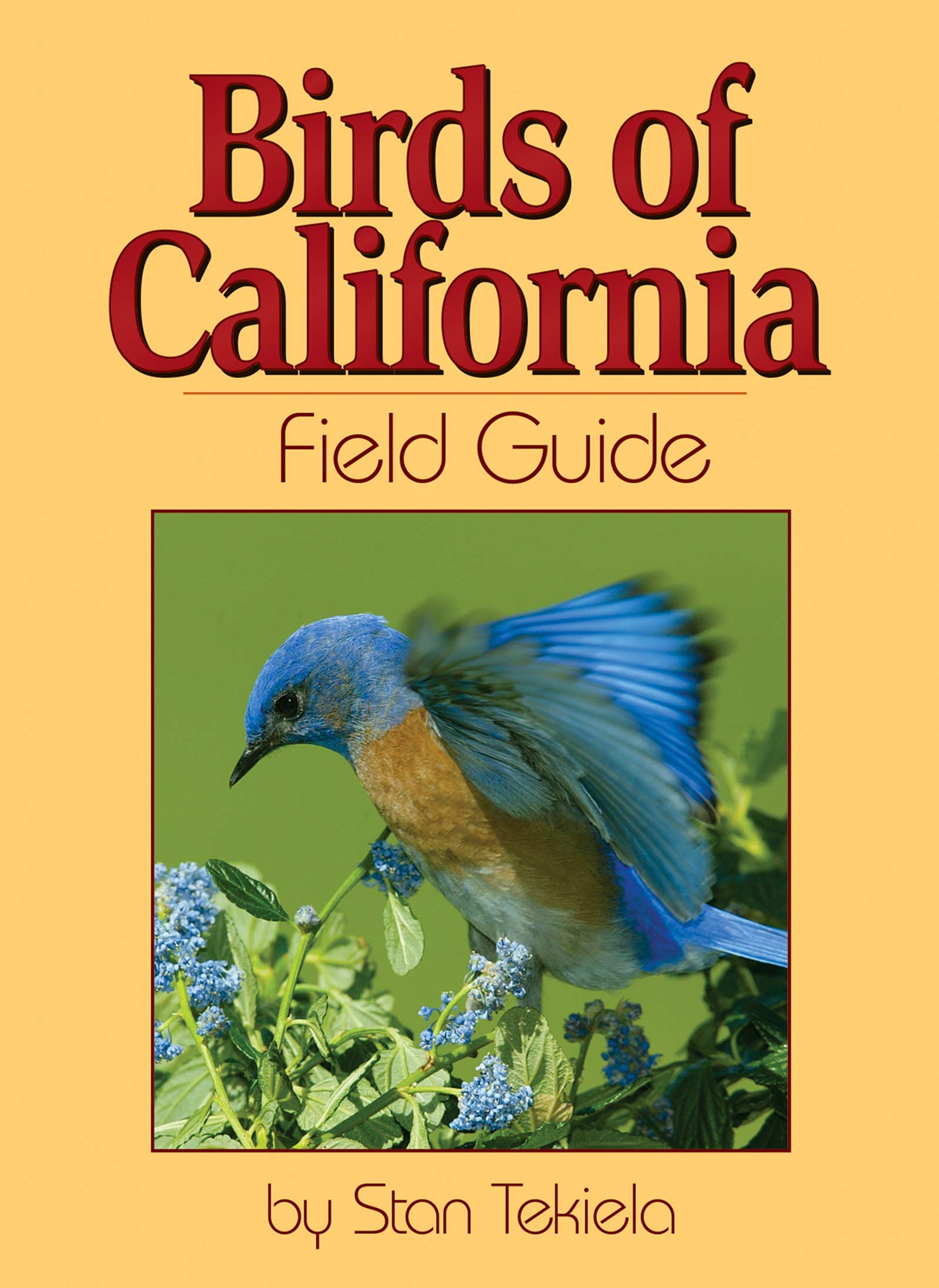 Birds of California Field Guide (Bird Identification Guides),Used