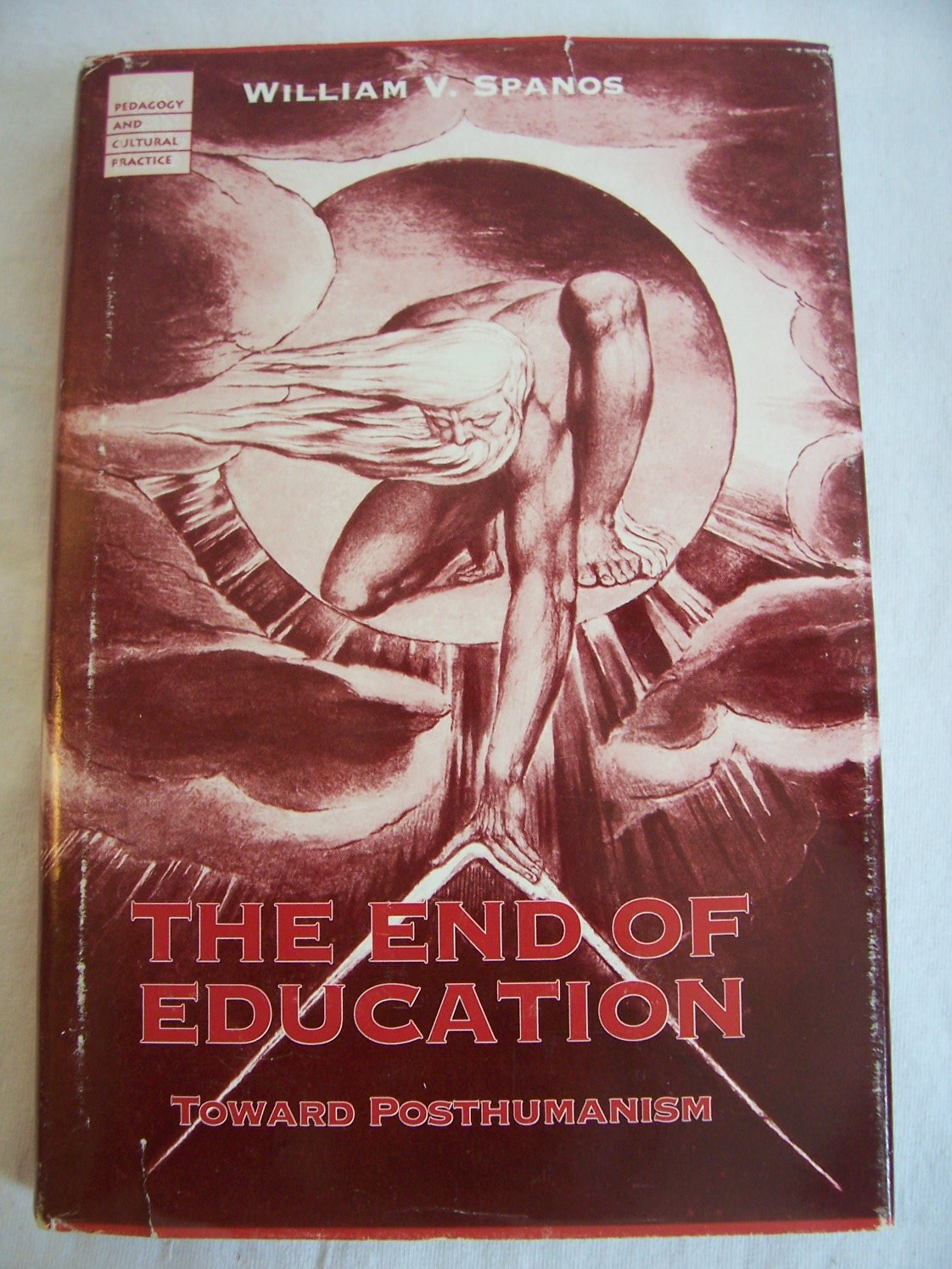 End Of Education: Toward Posthumanism (Volume 1) (Pedagogy and Cultural Practice),Used