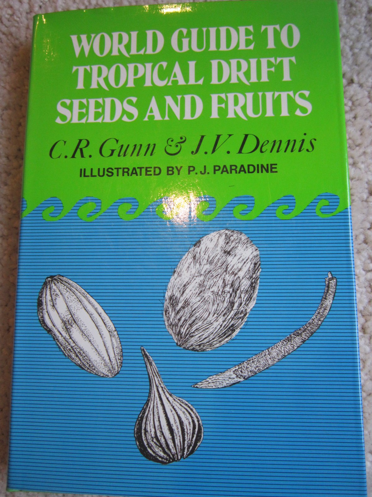 World guide to tropical drift seeds and fruits,Used