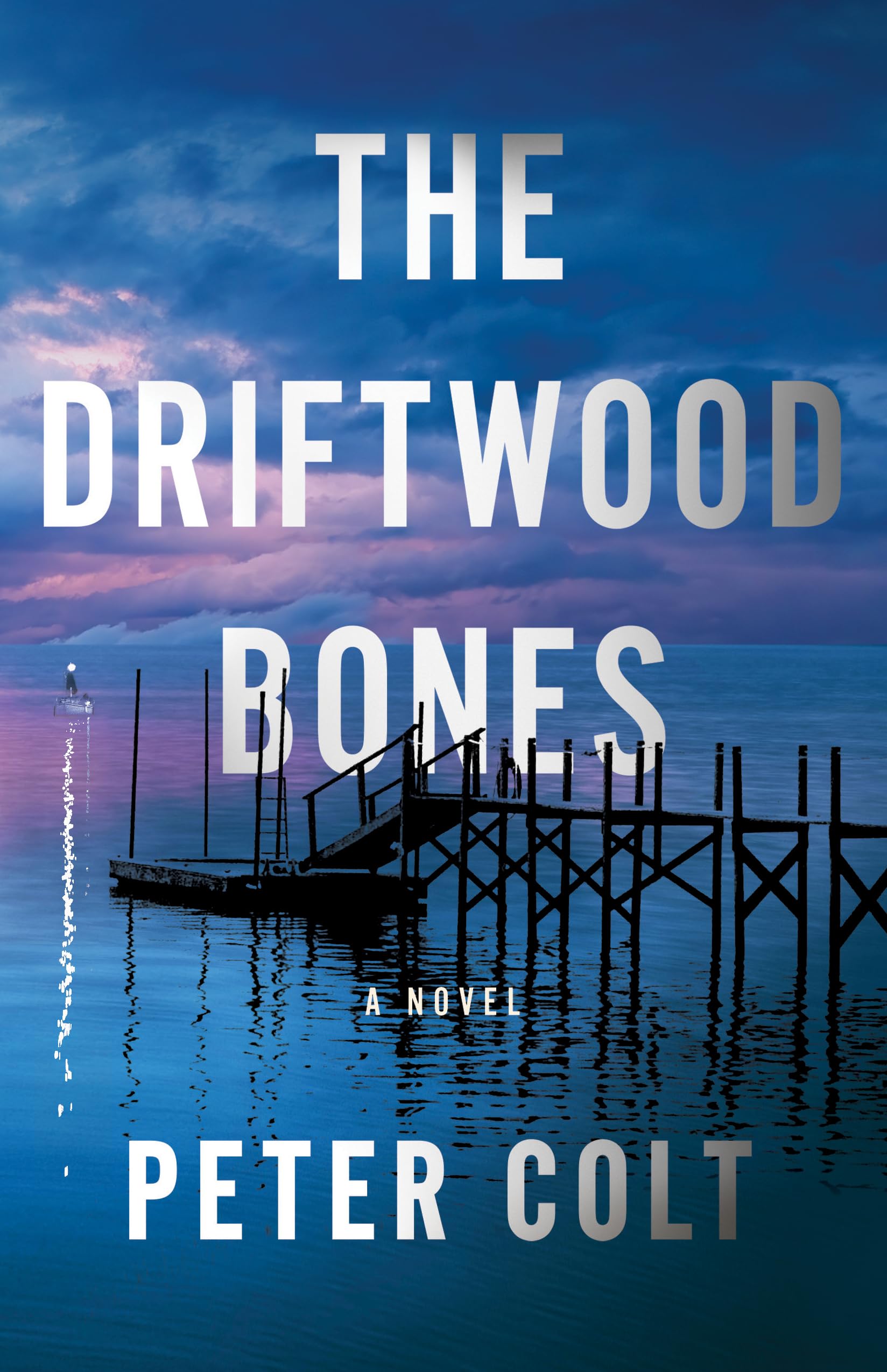 The Driftwood Bones: A Novel (Detective Tommy Kelly)