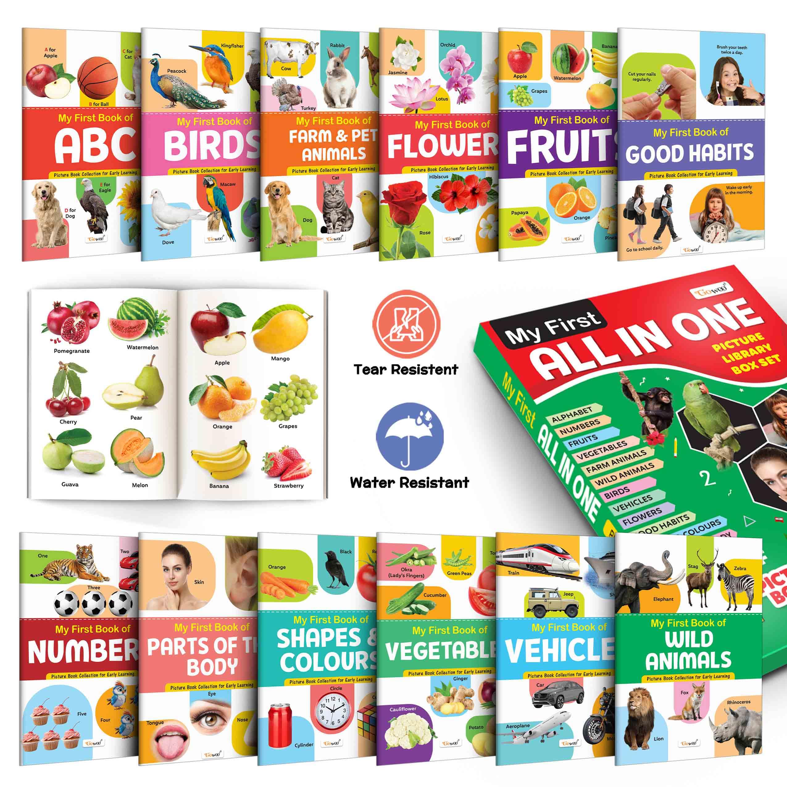 Lkg Class Picture Book Box Set (Green Edition) : Books For Children, All In One Essential Book, Gift Set For Kids My First All In One Picture Library Box Of 12 Books