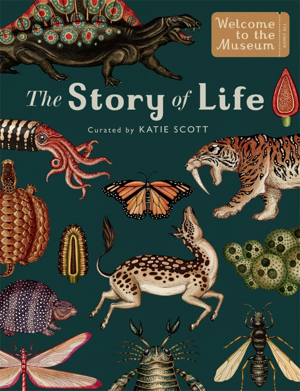 The Story Of Life Evolution,New