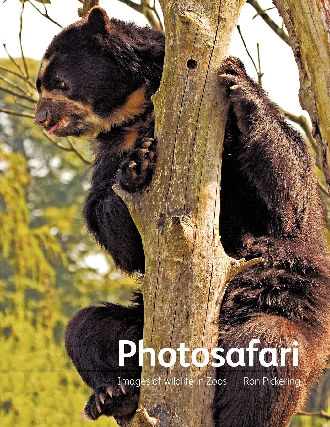 Photosafari: Images Of Wildlife In Zoos,Used