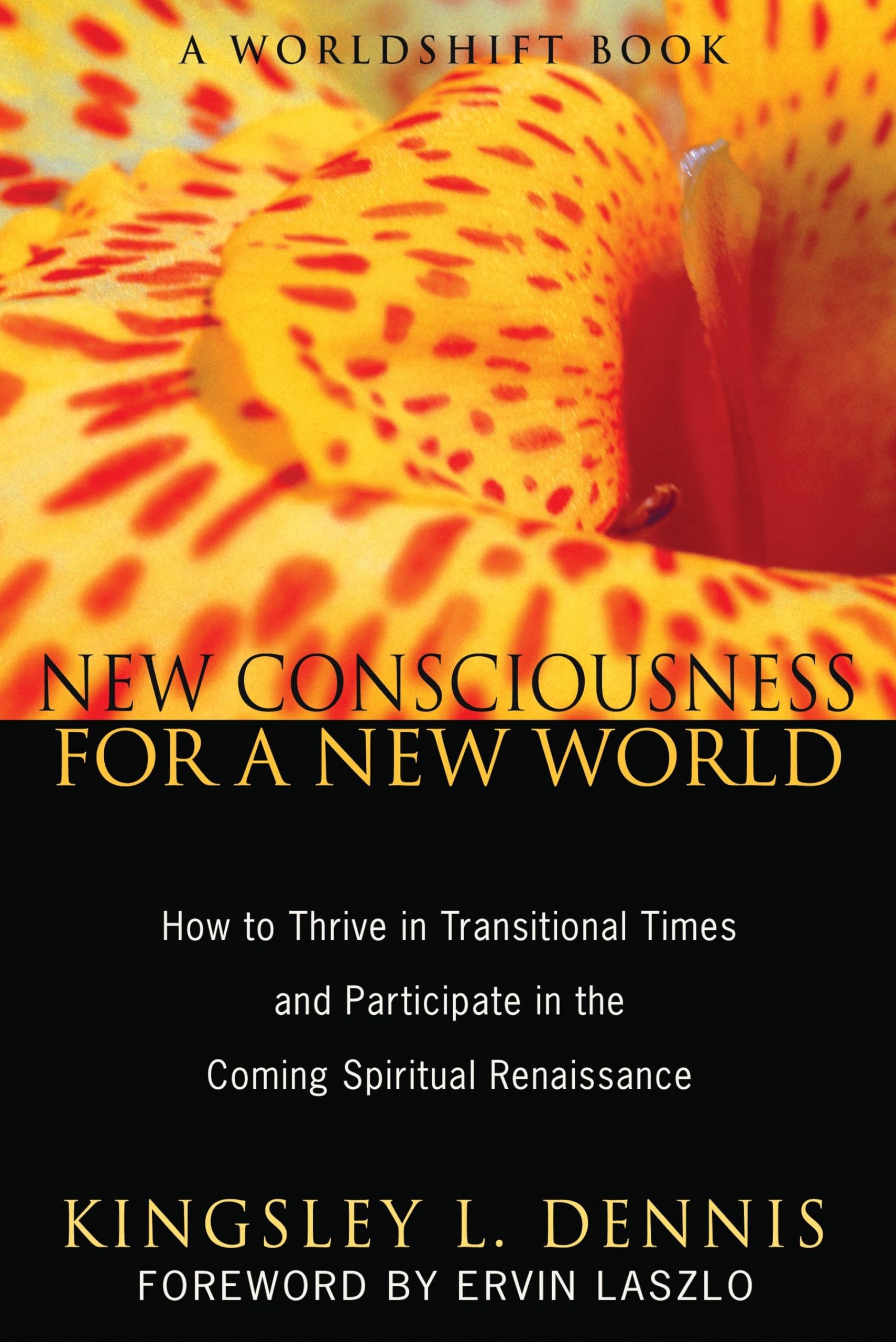 New Consciousness for a New World: How to Thrive in Transitional Times and Participate in the Coming Spiritual Renaissance,Used