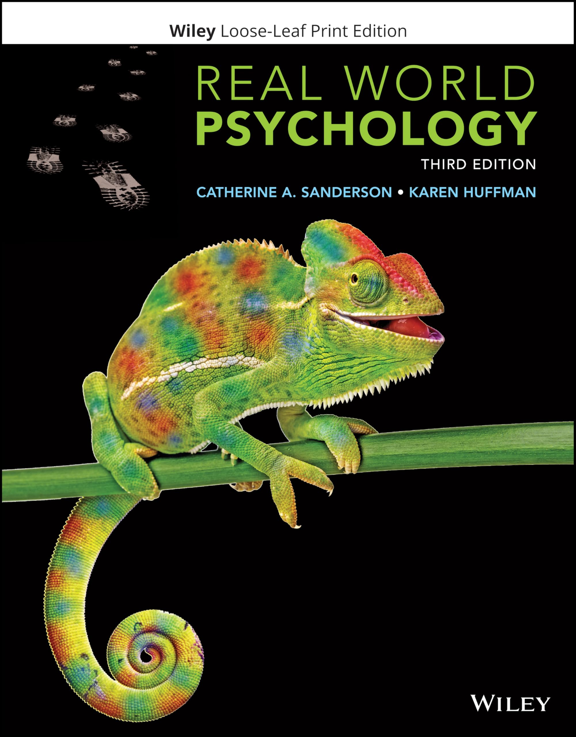 Real World Psychology,Used