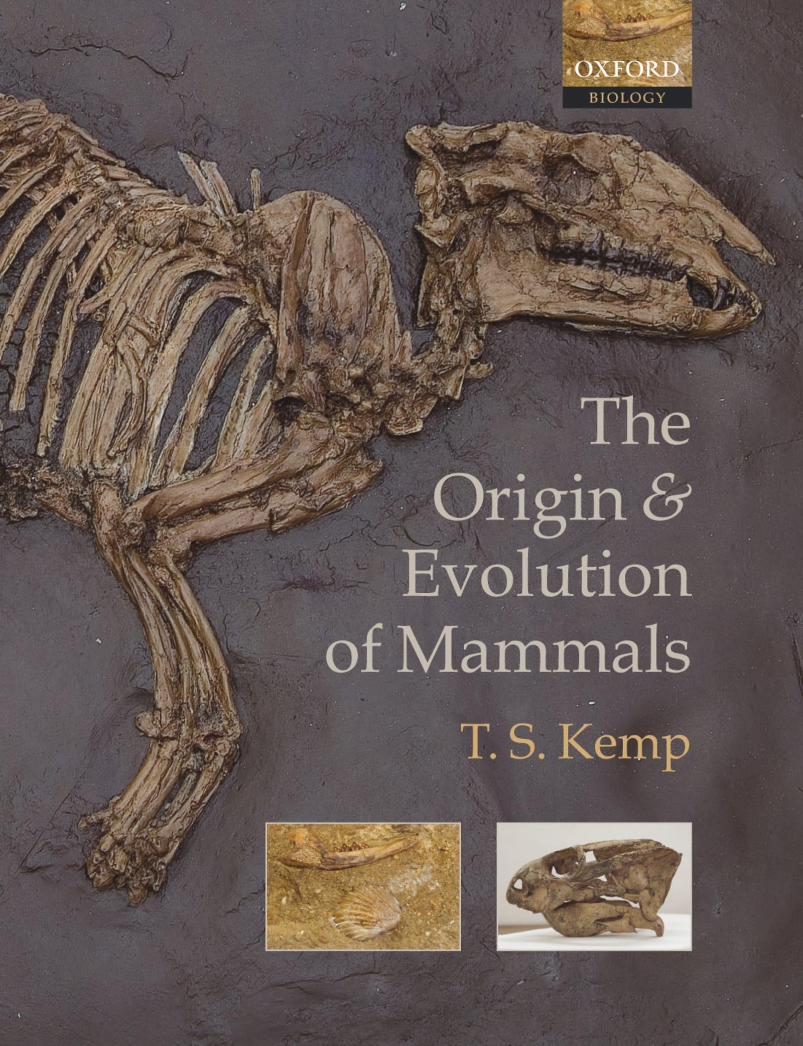 The Origin And Evolution Of Mammals