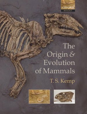 The Origin And Evolution Of Mammals
