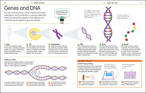 How to Be Good at Science, Technology, and Engineering (DK How to Be Good at),Used
